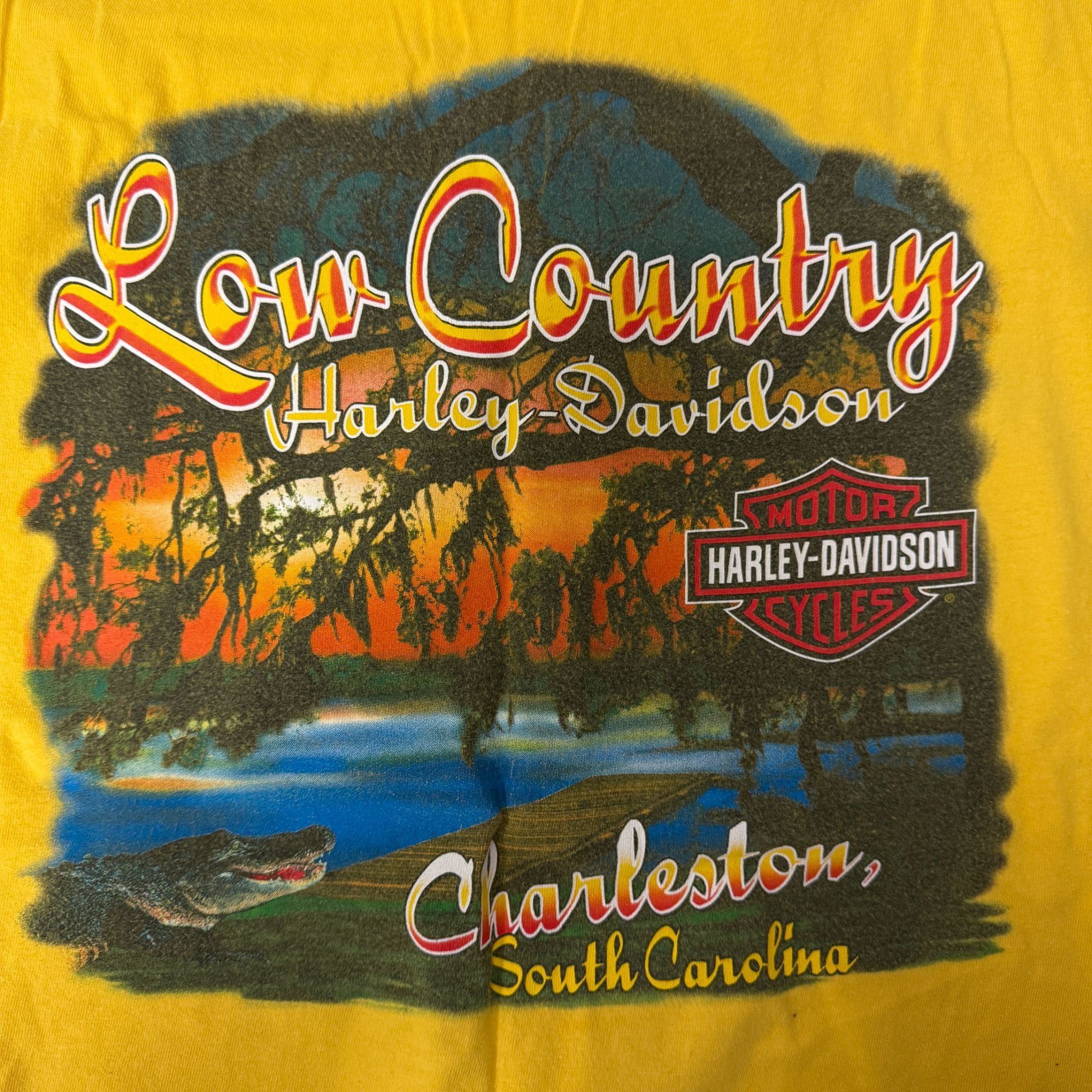 Harley Davidson Low Country Charleston SC SWAMP GATORS SUNSET Biker T Shirt Size US XL / EU 56 / 4 - 1 Thumbnail