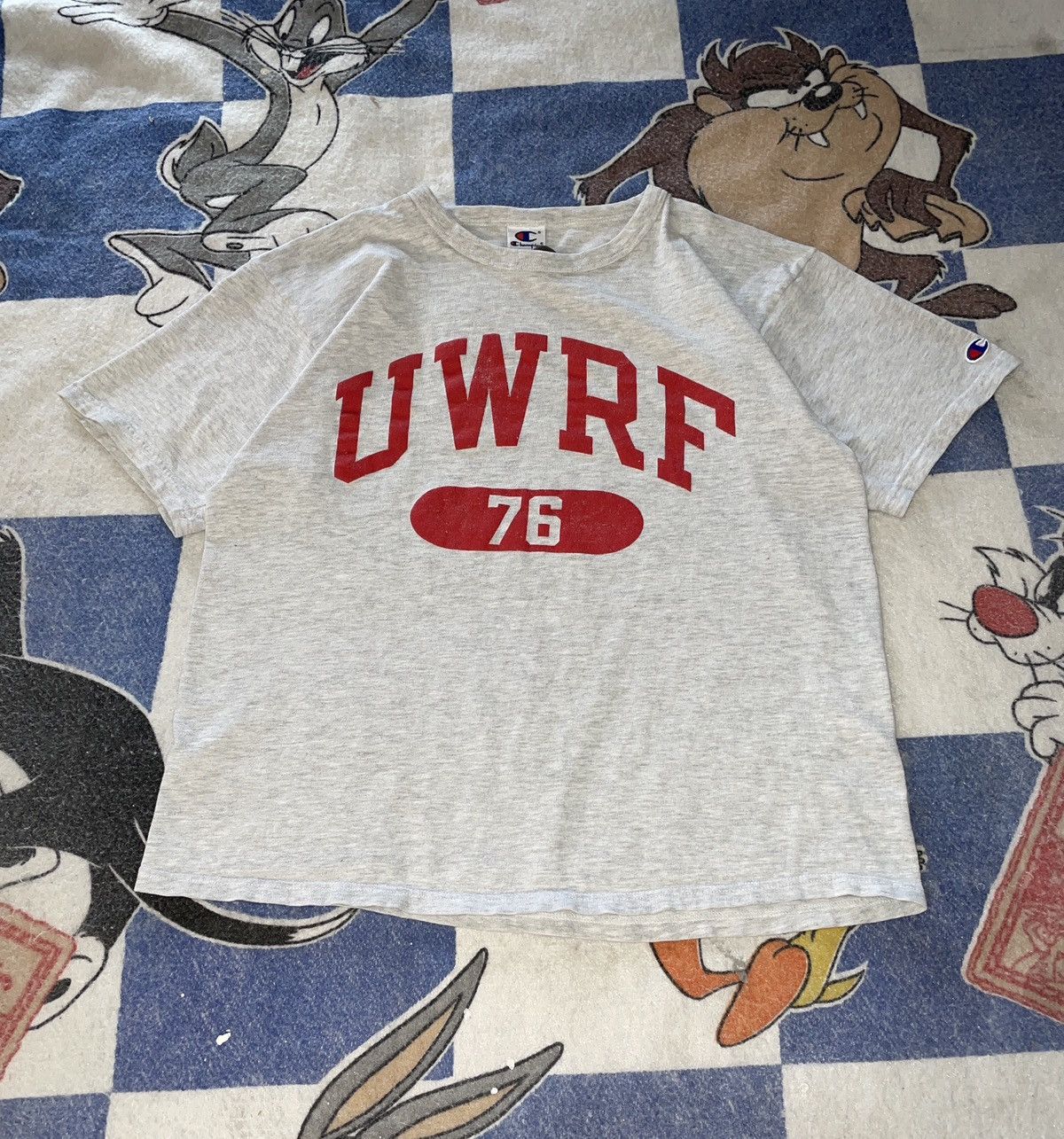 Champion Vintage university Wisconsin river falls tee Size US L / EU 52-54 / 3 - 1 Thumbnail