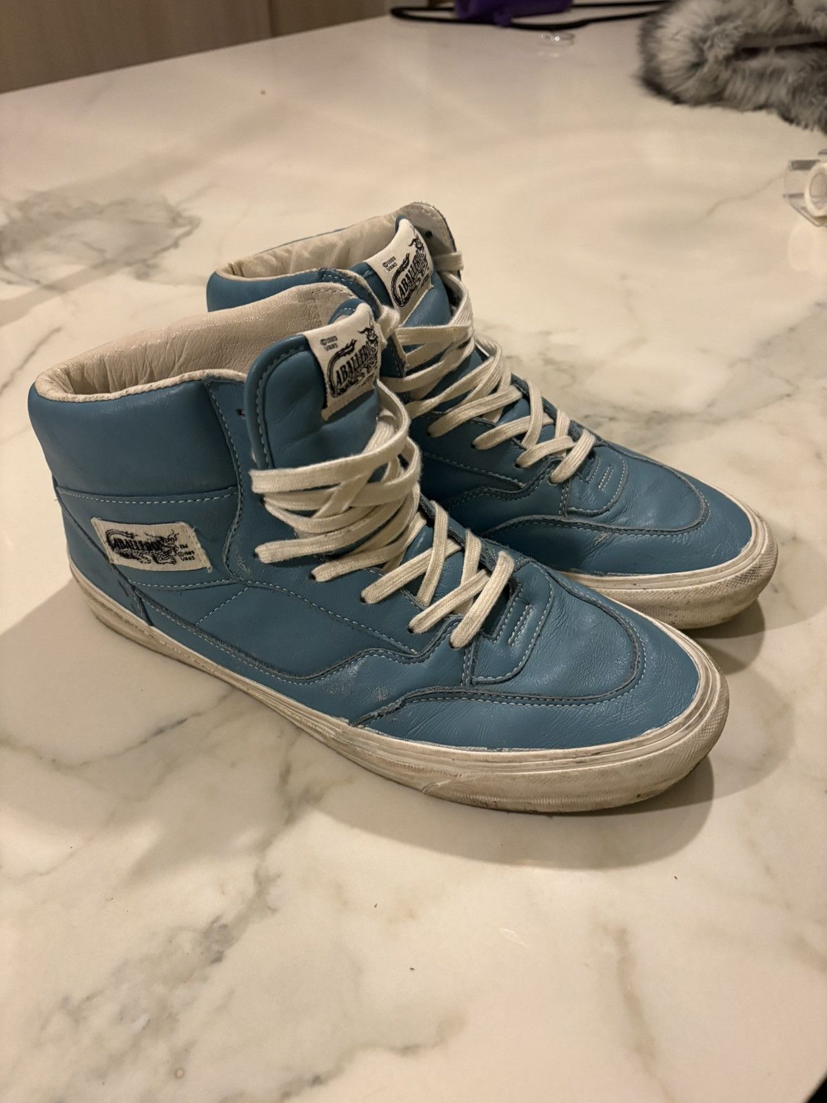 Vans x Steve Caballero Half Cabs