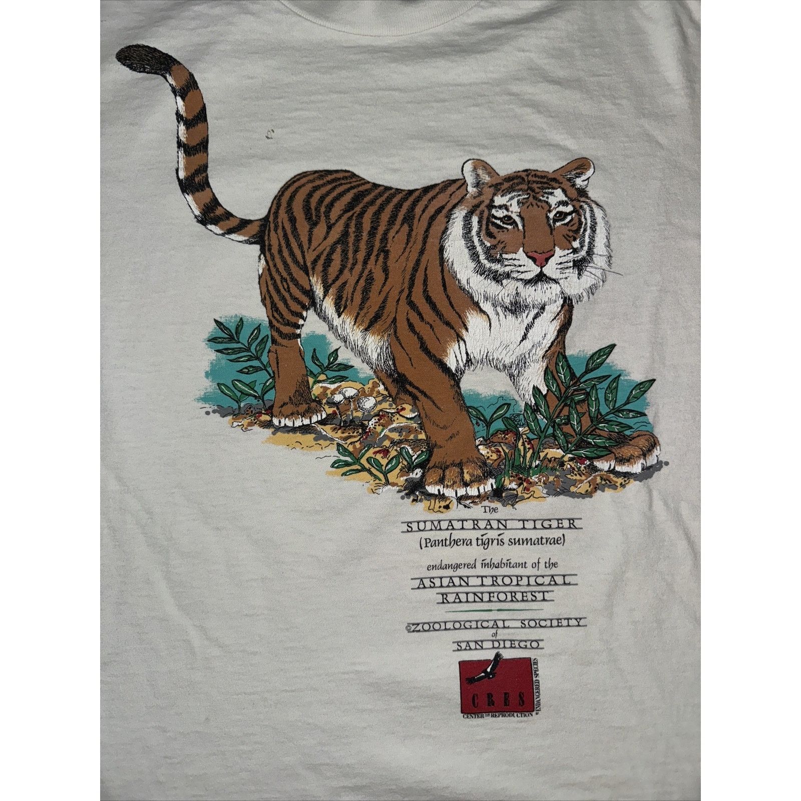 Band Tees × The Mountain Vintage Oneta San Diego Zoo T-Shirt White L 22x26 Tiger Size US L / EU 52-54 / 3 - 2 Thumbnail