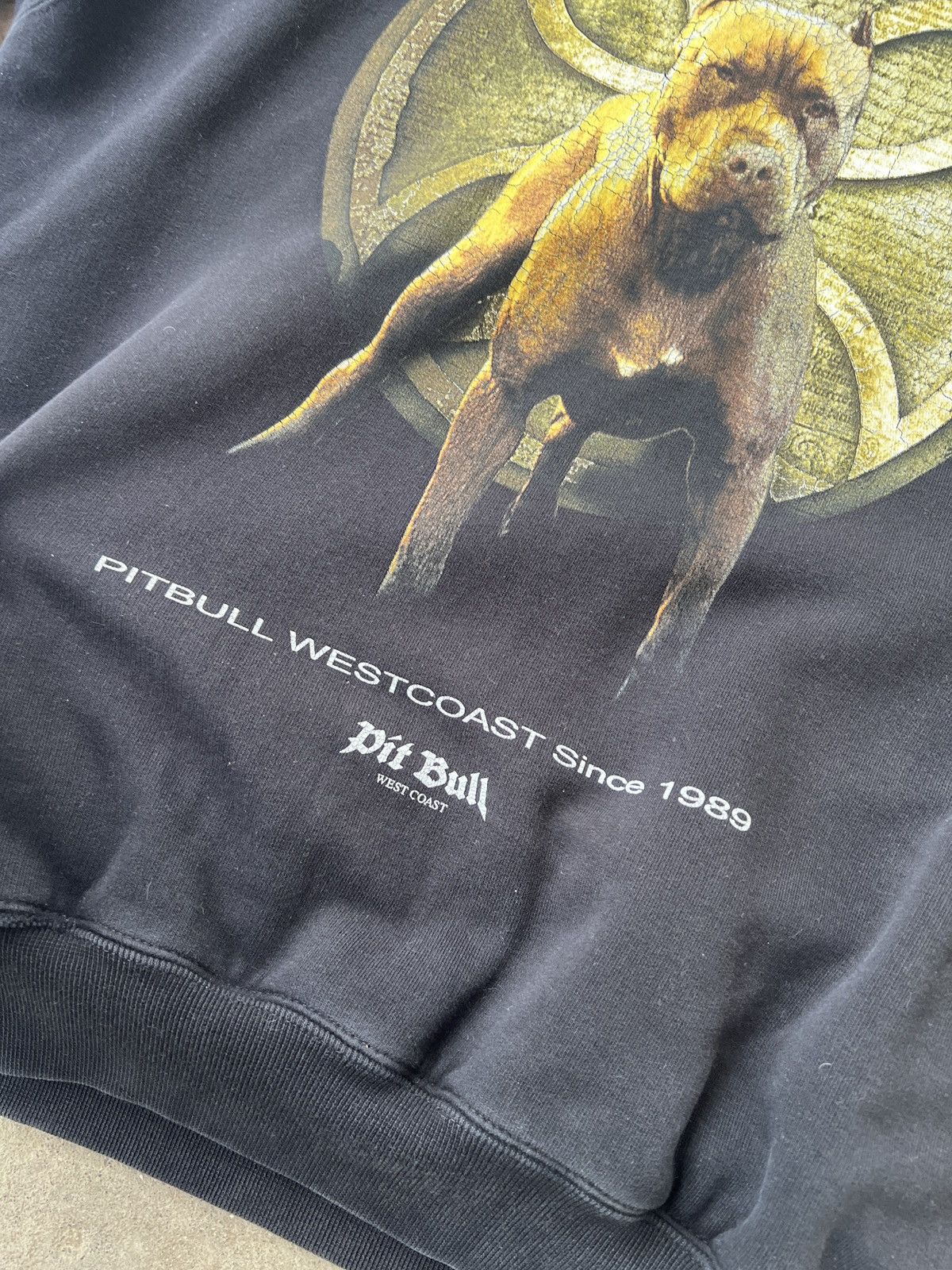 Other Pit Bull West Coast Hoodie Size US M / EU 48-50 / 2 - 5 Thumbnail