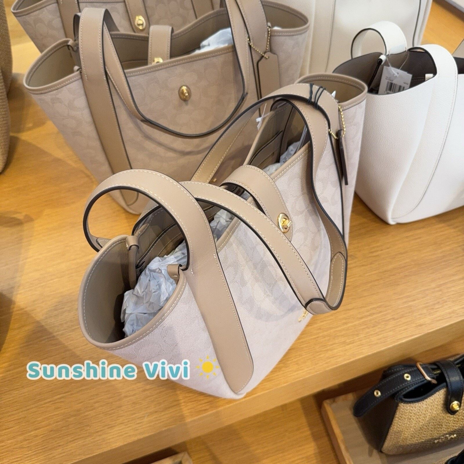 Coach NWT COACH Hadley Tote Bag Canvas CAK51 Dark Natural Size ONE SIZE - 2 Thumbnail