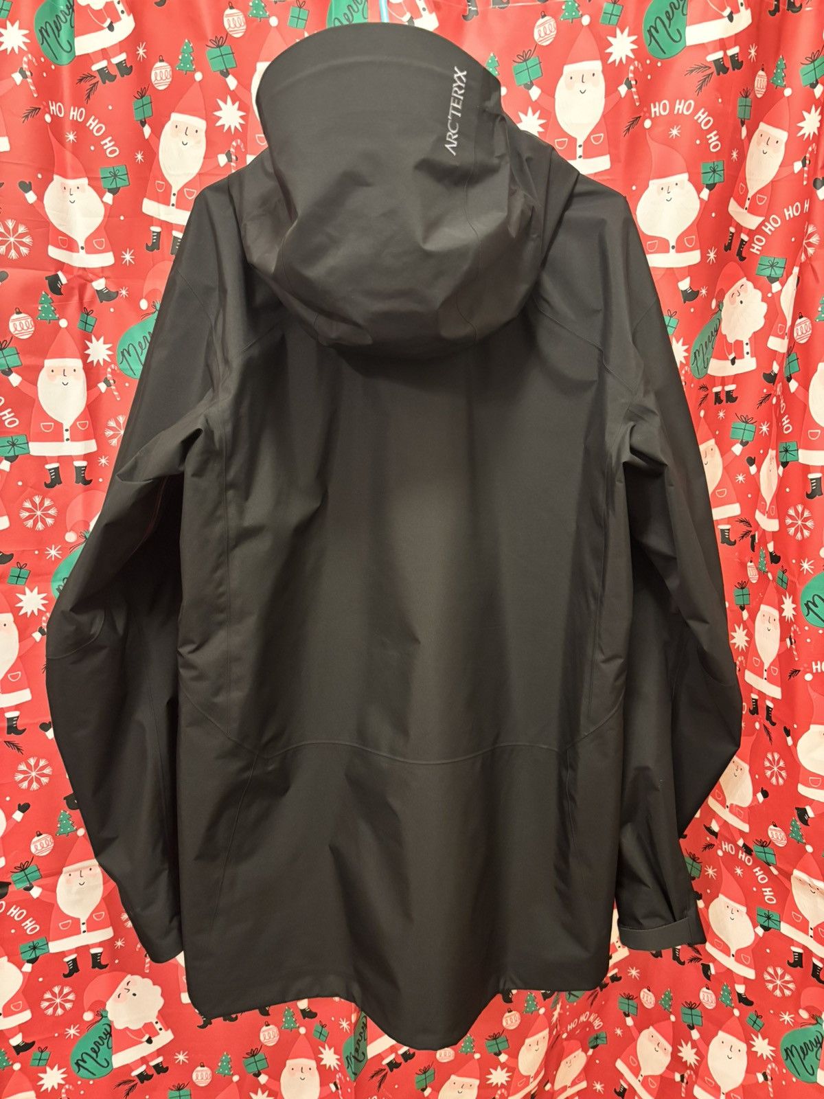 Arc'teryx Men’s Gore-Tex Rush Jacket Size US L / EU 52-54 / 3 - 4 Thumbnail