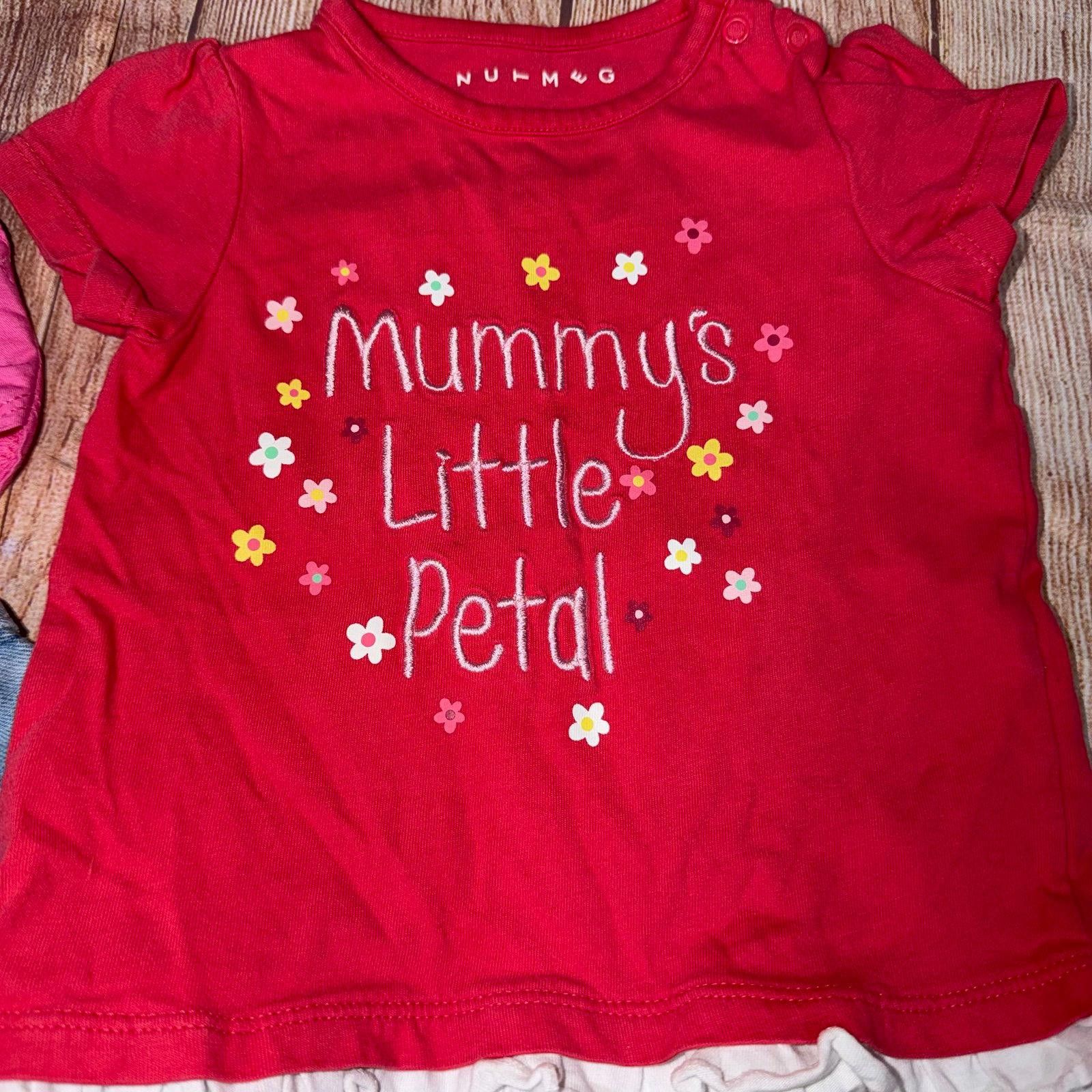 Other Baby Girl 9-12 Month Clothing Bundle Size ONE SIZE - 2 Thumbnail