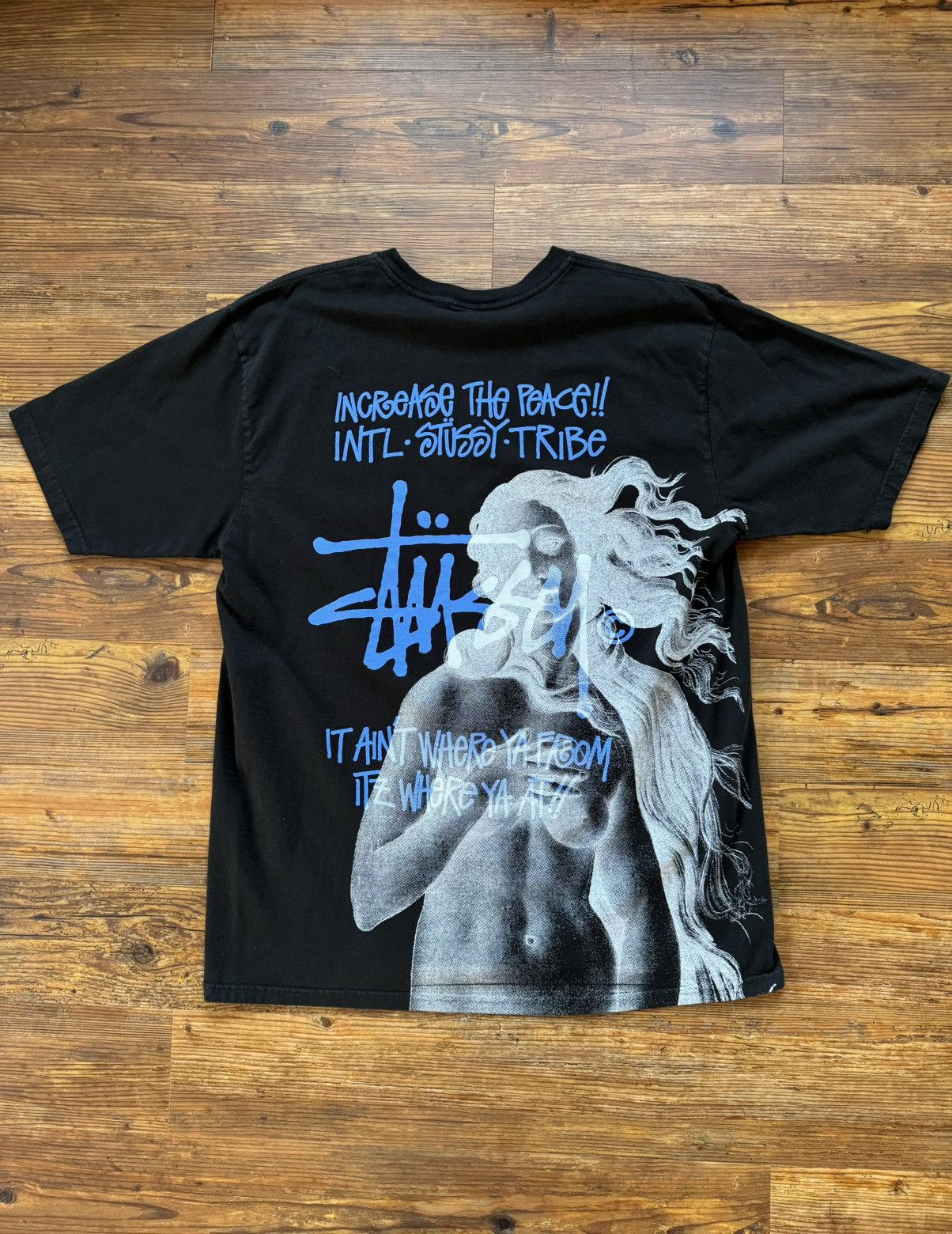 Stussy Stussy 1st Venus Tee | Grailed