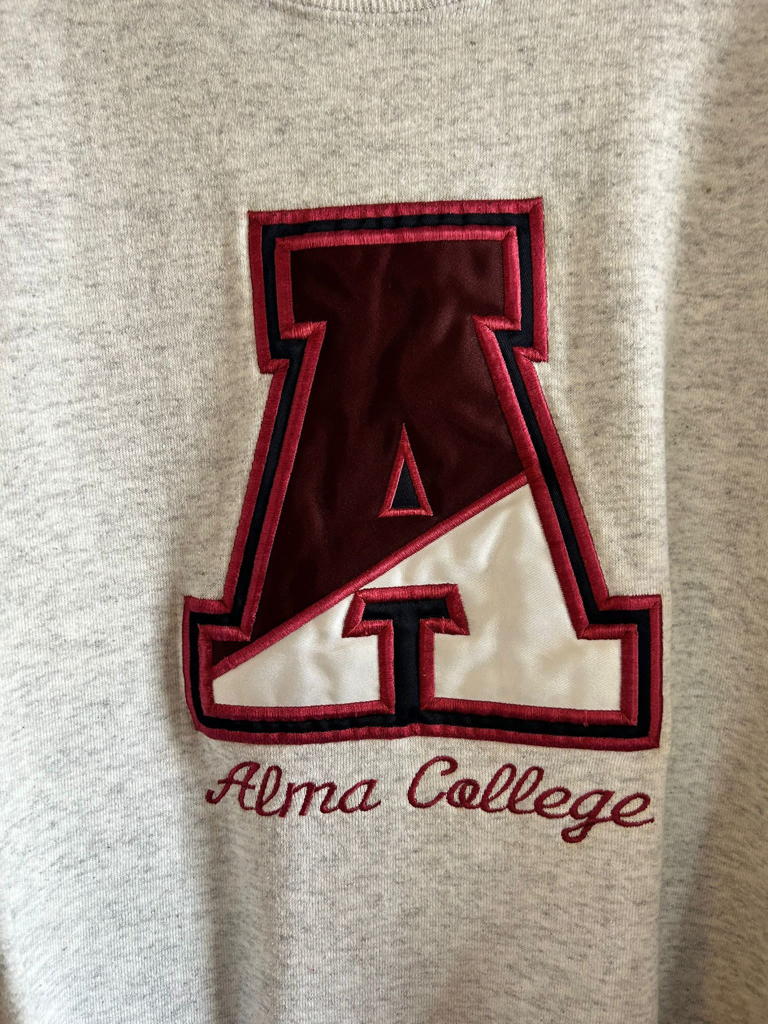 Jansport Jansport Alma College Crewneck Size US L / EU 52-54 / 3 - 2 Thumbnail