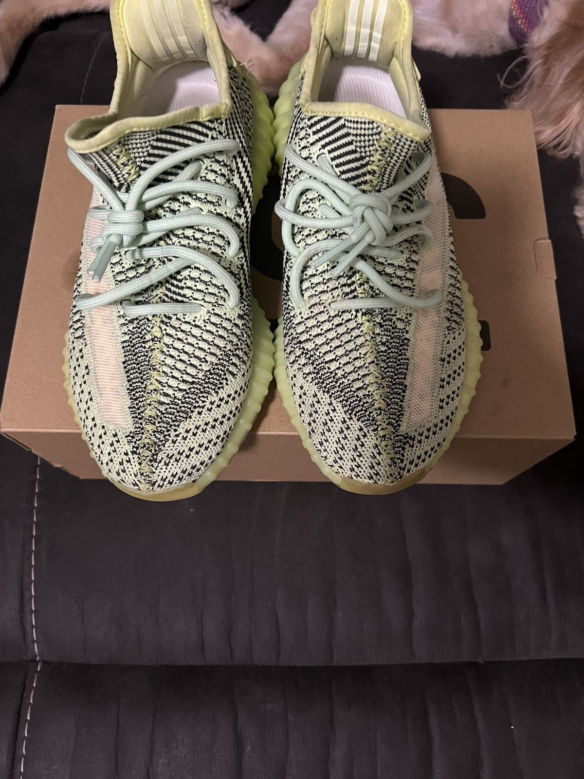 Yeezy Yeezy Boost 350 V2 Size US 9 / EU 42 - 1 Thumbnail