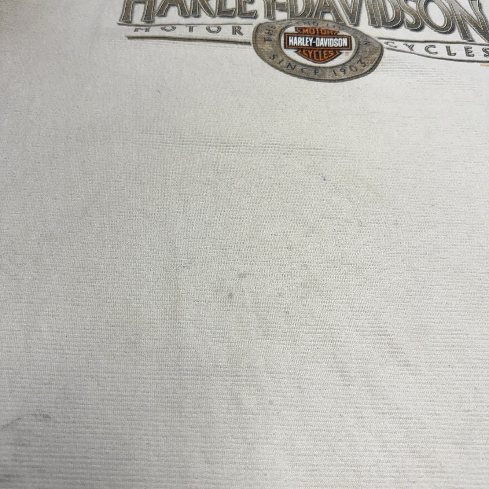 Harley Davidson Vintage Y2K Harley Davidson T Shirt Mens XL 23.5x27.5 White Size US XL / EU 56 / 4 - 11 Thumbnail