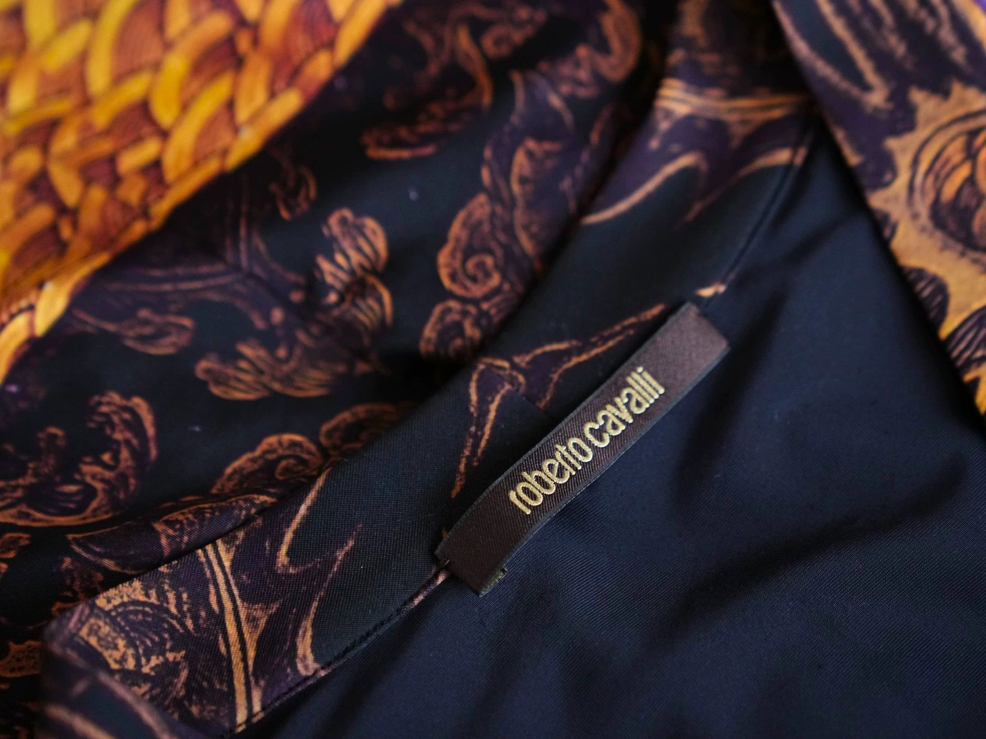 Roberto Cavalli Roberto Cavalli Vintage Dunhuang Print Slim Fit Dress Size M / US 6-8 / IT 42-44 - 8 Thumbnail