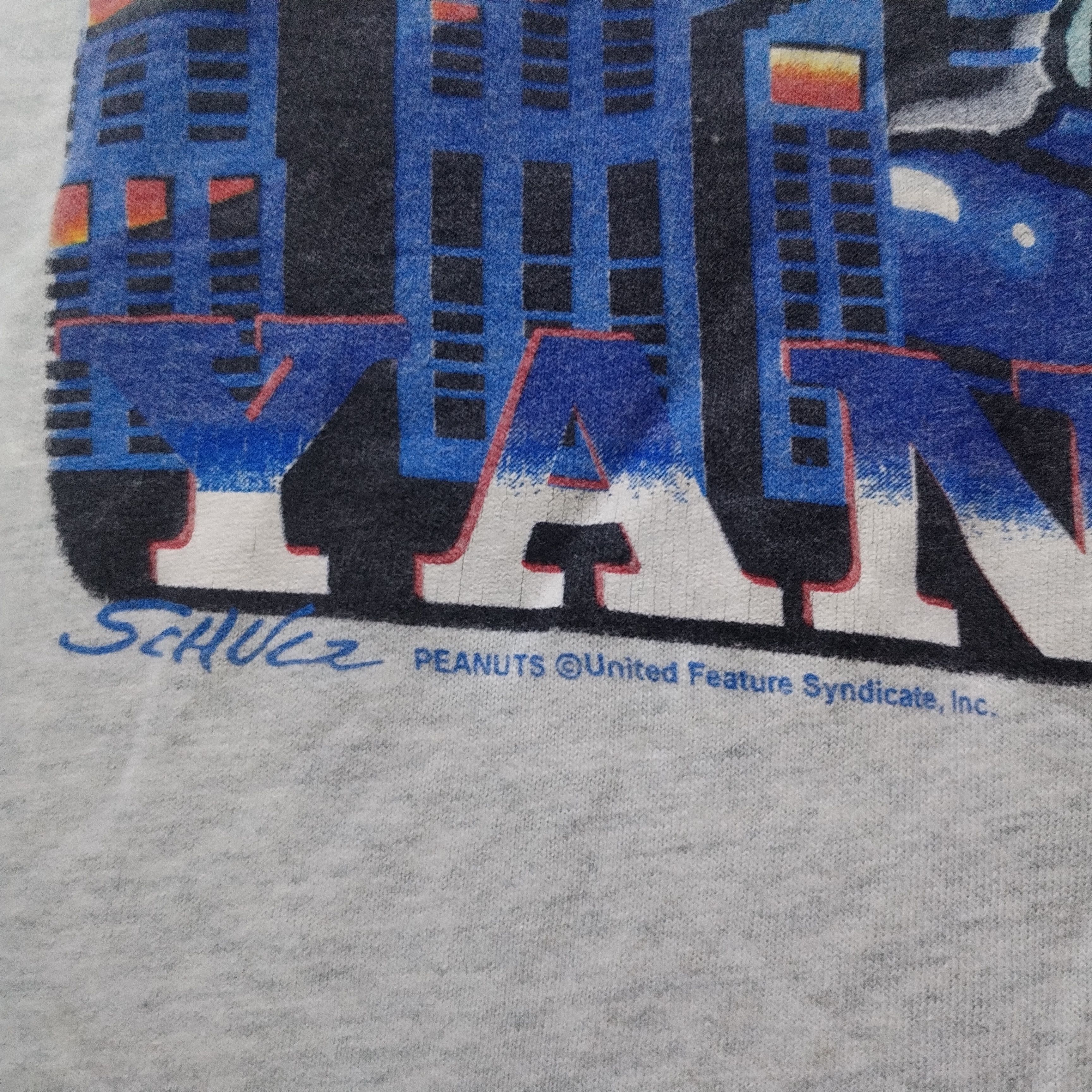 Vintage Thrashed Sun Faded Vintage 90s Snopy Distressed Grunge Band Size US M / EU 48-50 / 2 - 5 Thumbnail