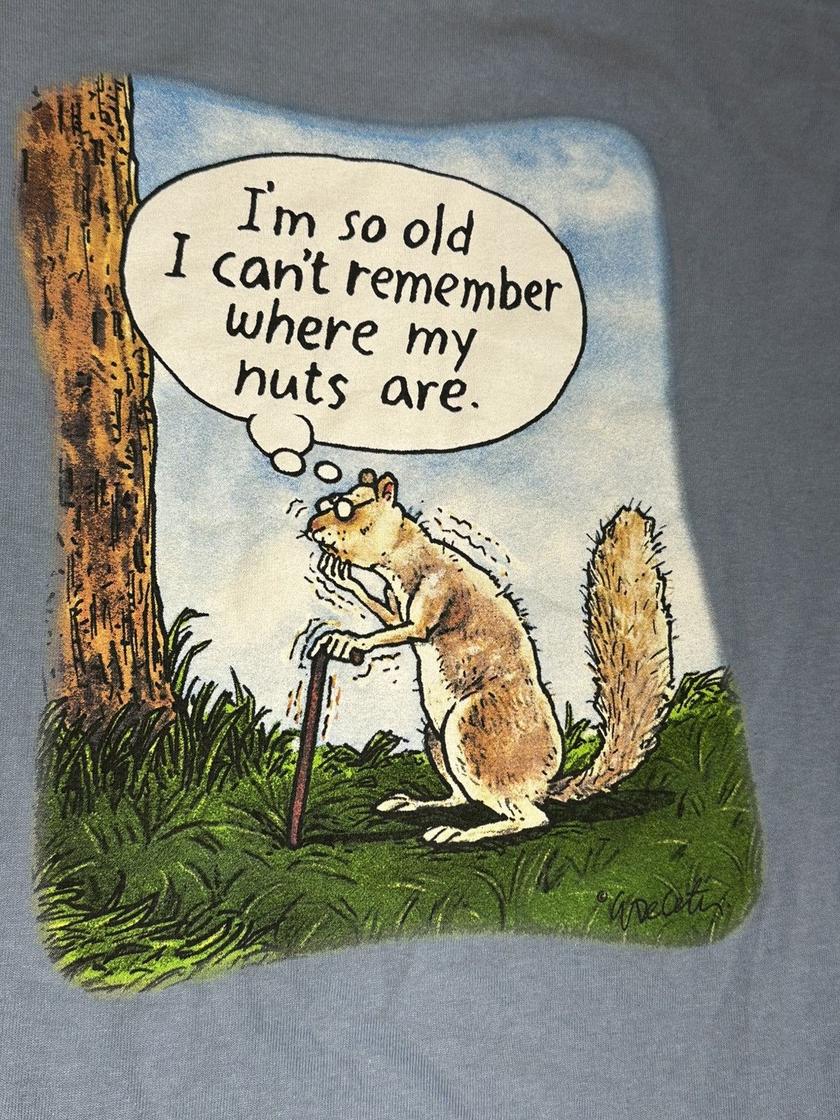 Gildan Im so old I cant remember where my nuts are Vintsquirrel tee Size US L / EU 52-54 / 3 - 4 Thumbnail