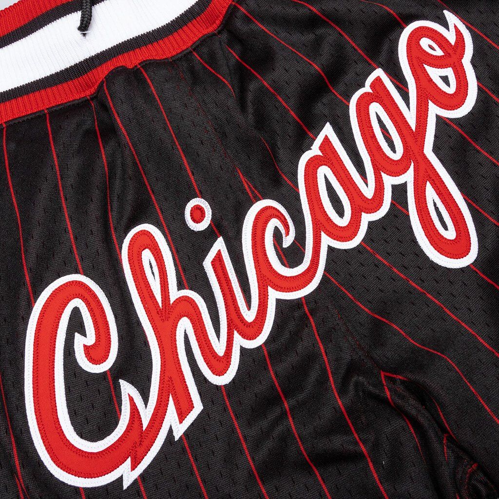 Just Don × Mitchell & Ness Chicago Bulls Just Don 10th Year Anniversary 1996 Shorts L Size US 34 / EU 50 - 7 Thumbnail