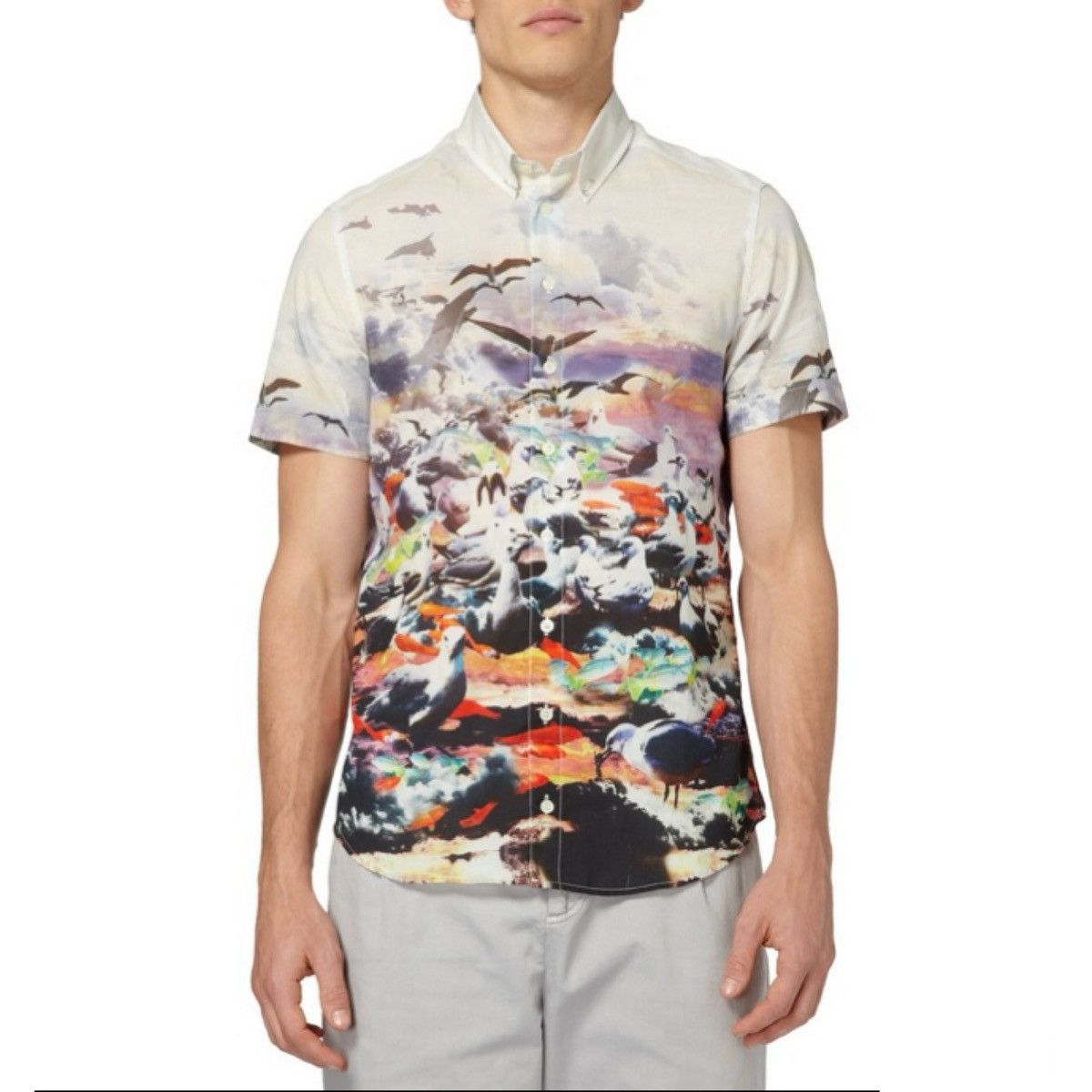 Alexander McQueen Bird Print Shirt Size US M / EU 48-50 / 2 - 1 Thumbnail