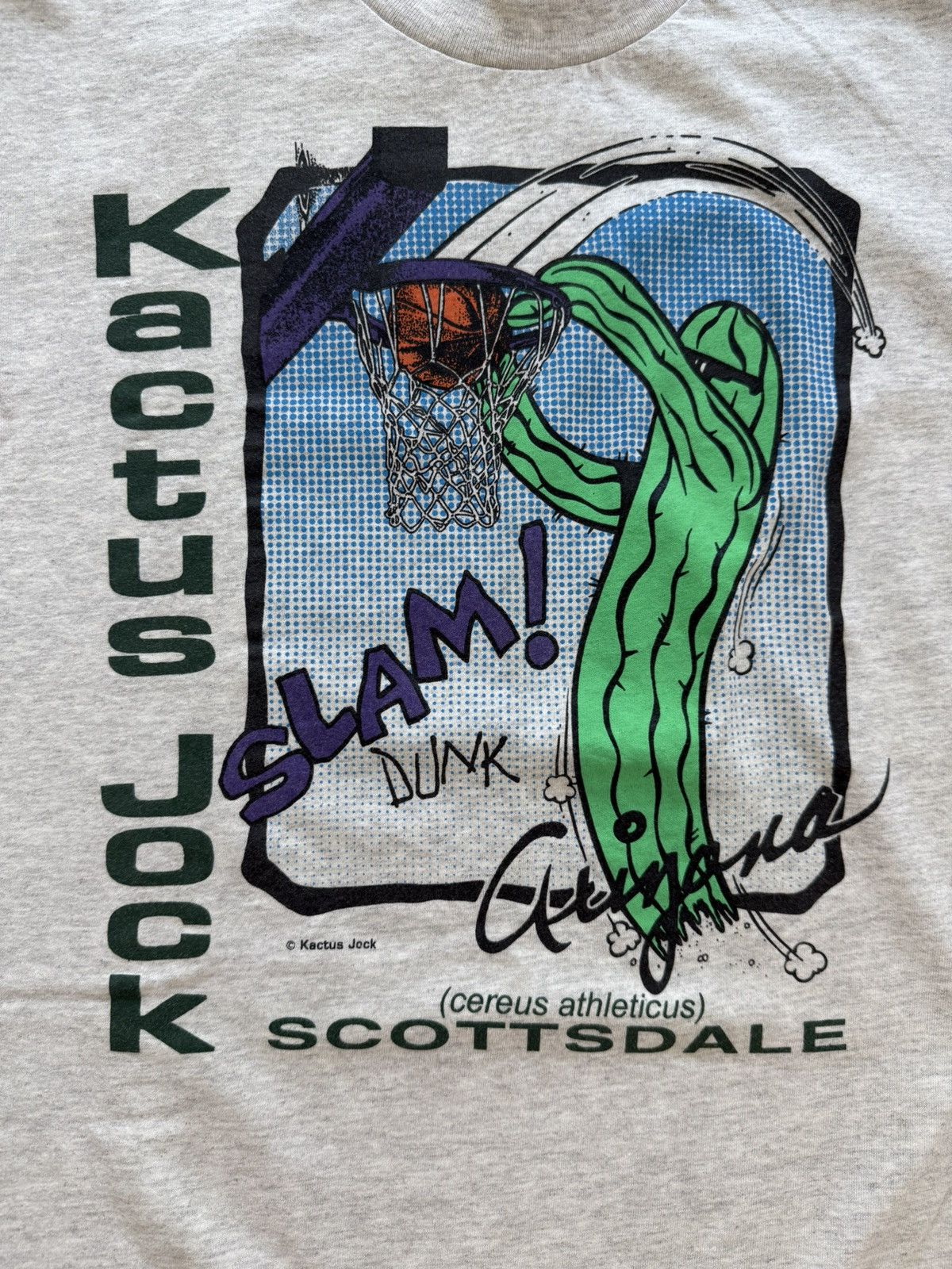 Other Kactus Jock Slam Dunk Arizona grey 90s Basketball Shirt Size US M / EU 48-50 / 2 - 3 Thumbnail