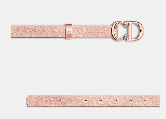 Dior o1w1db11024 Size: OS / Saddle Belt in Metallic Pink Size ONE SIZE - 3 Thumbnail