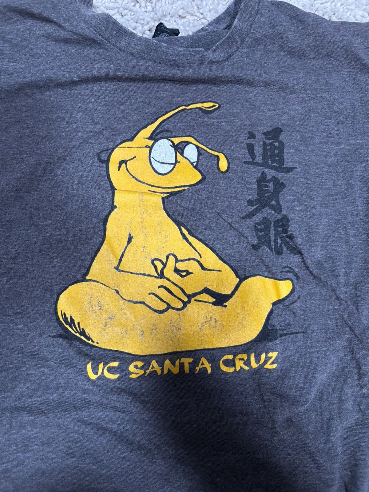 Other Vintage UC Santa Cruz grey slugs shirt - Size: Medium Size US M / EU 48-50 / 2 - 2 Thumbnail