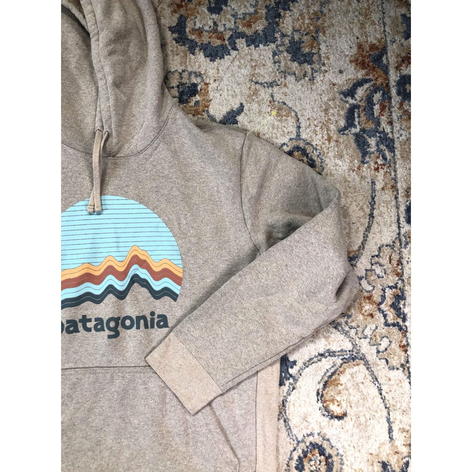 Patagonia Patagonia Hoodie Mens XL Beige Geologers Graphic Logo Fleece Pullover with Kangaroo Pocket (Hooded) Holiday Fall Casual Outdoor Size US XL / EU 56 / 4 - 4 Thumbnail
