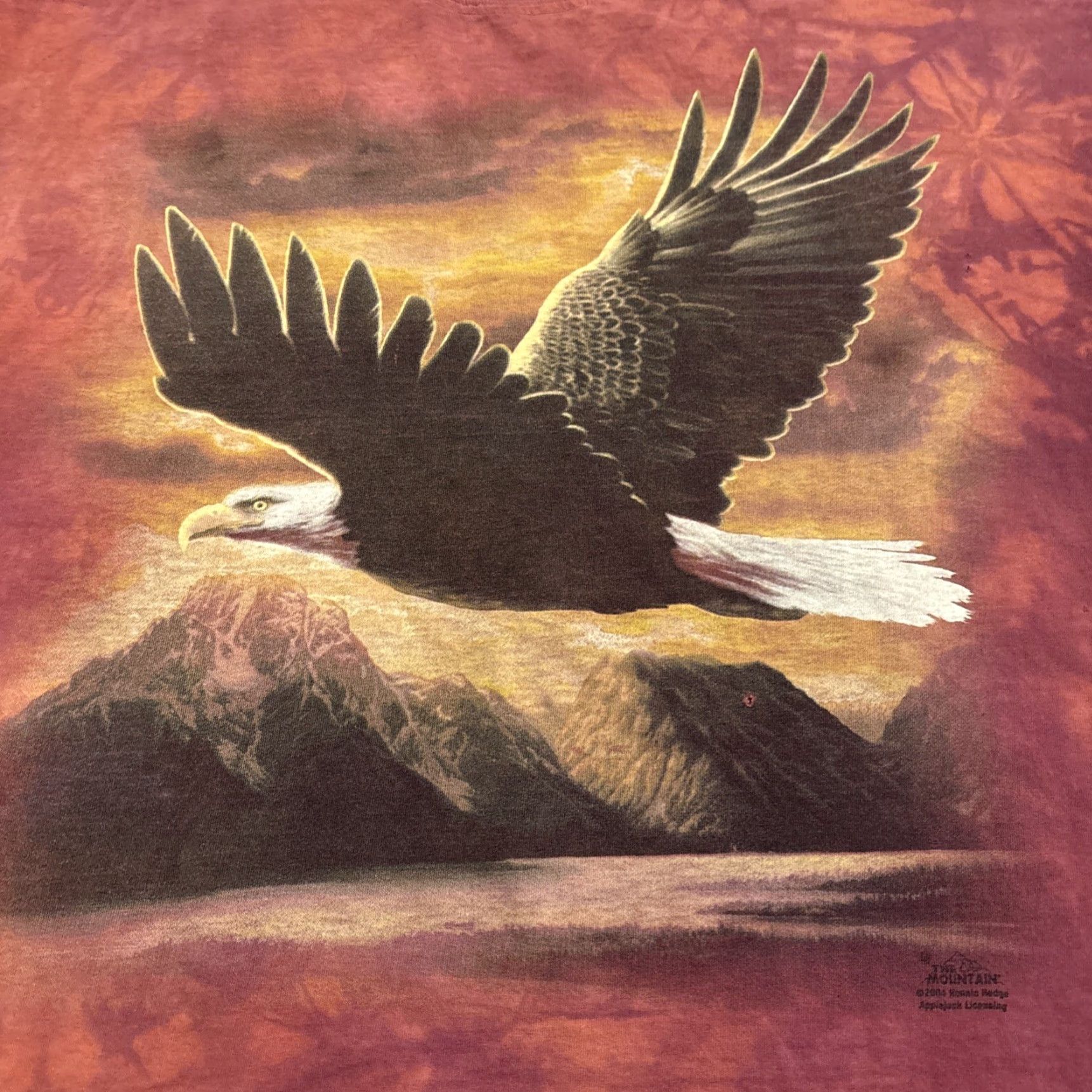 The Mountain VINTAGE The Mountain T-Shirt Bald Eagle Distressed 04 XL Men Red 2000s USA Eagles Tie Dye, Graphic Print, Short Sleeve, Cotton, Regular Fit Size US XL / EU 56 / 4 - 2 Thumbnail