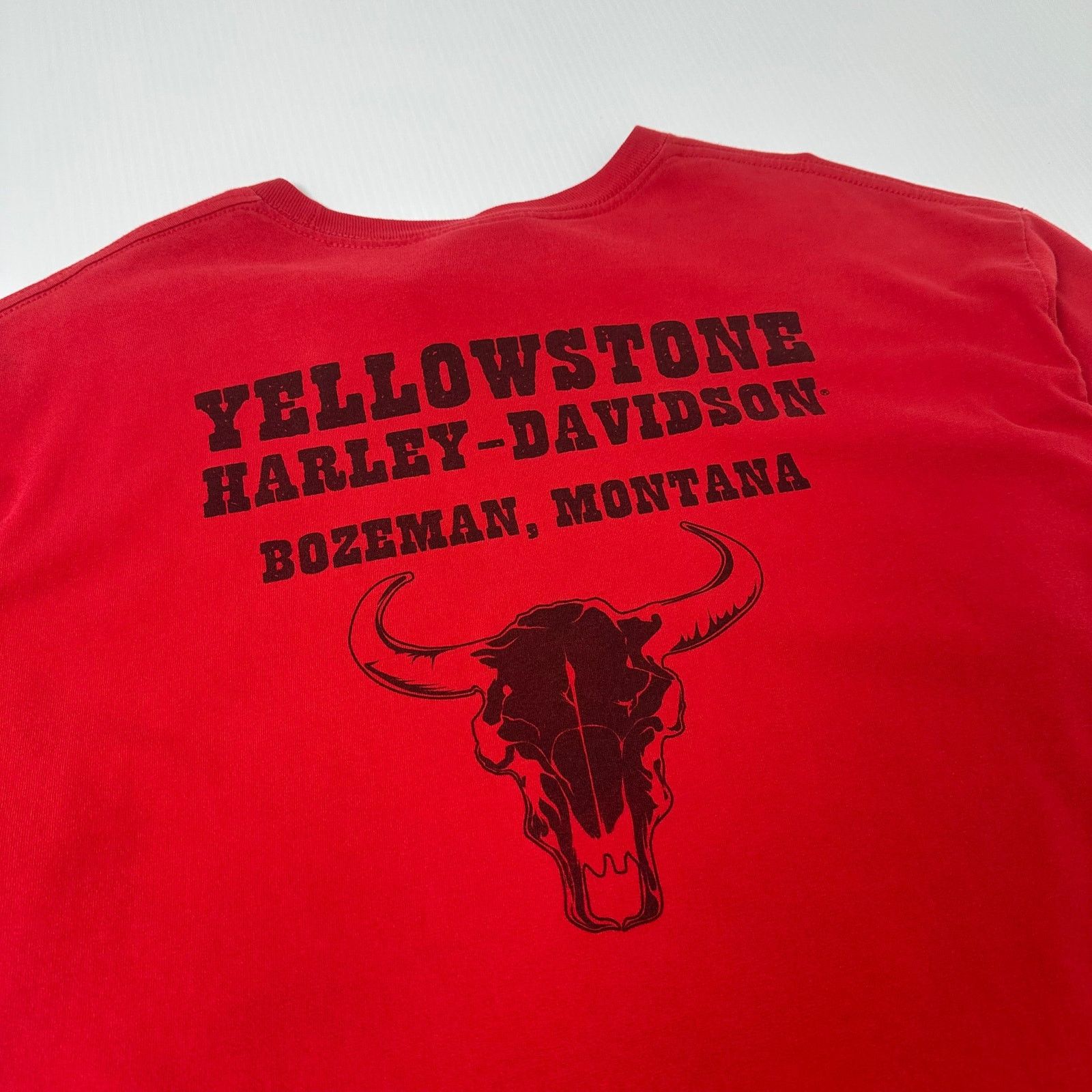 Harley Davidson Harley Davidson Eagle Flame Montana Graphic Tee XL Size US XL / EU 56 / 4 - 4 Thumbnail