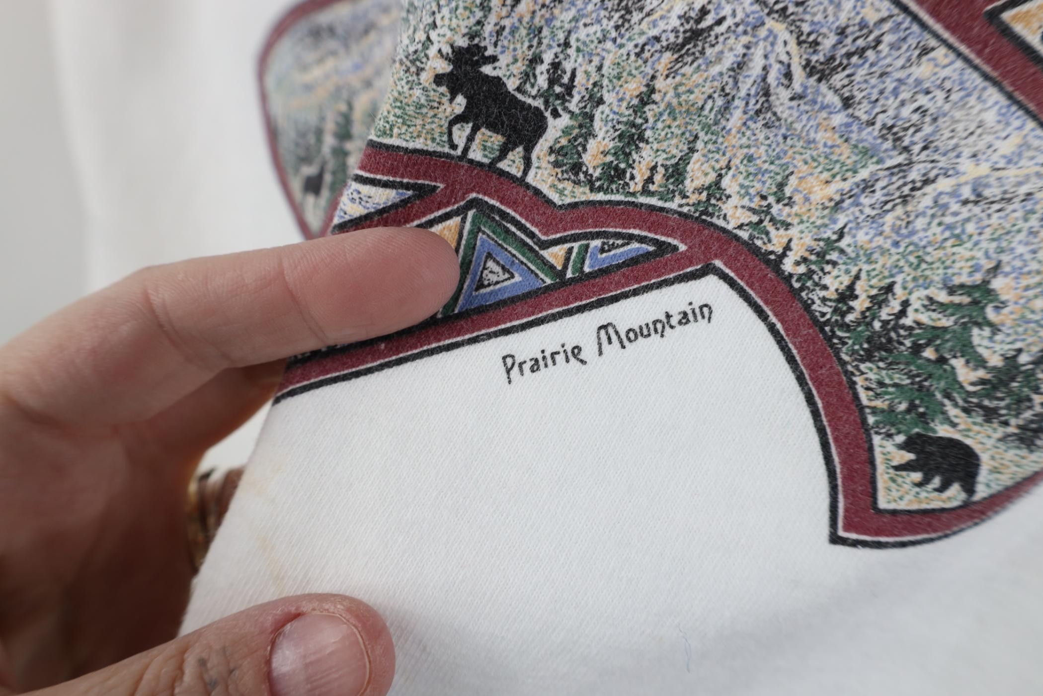 Vintage Vintage 90s Streetwear Nature Alaska Eagle T-Shirt White Size US S / EU 44-46 / 1 - 5 Thumbnail