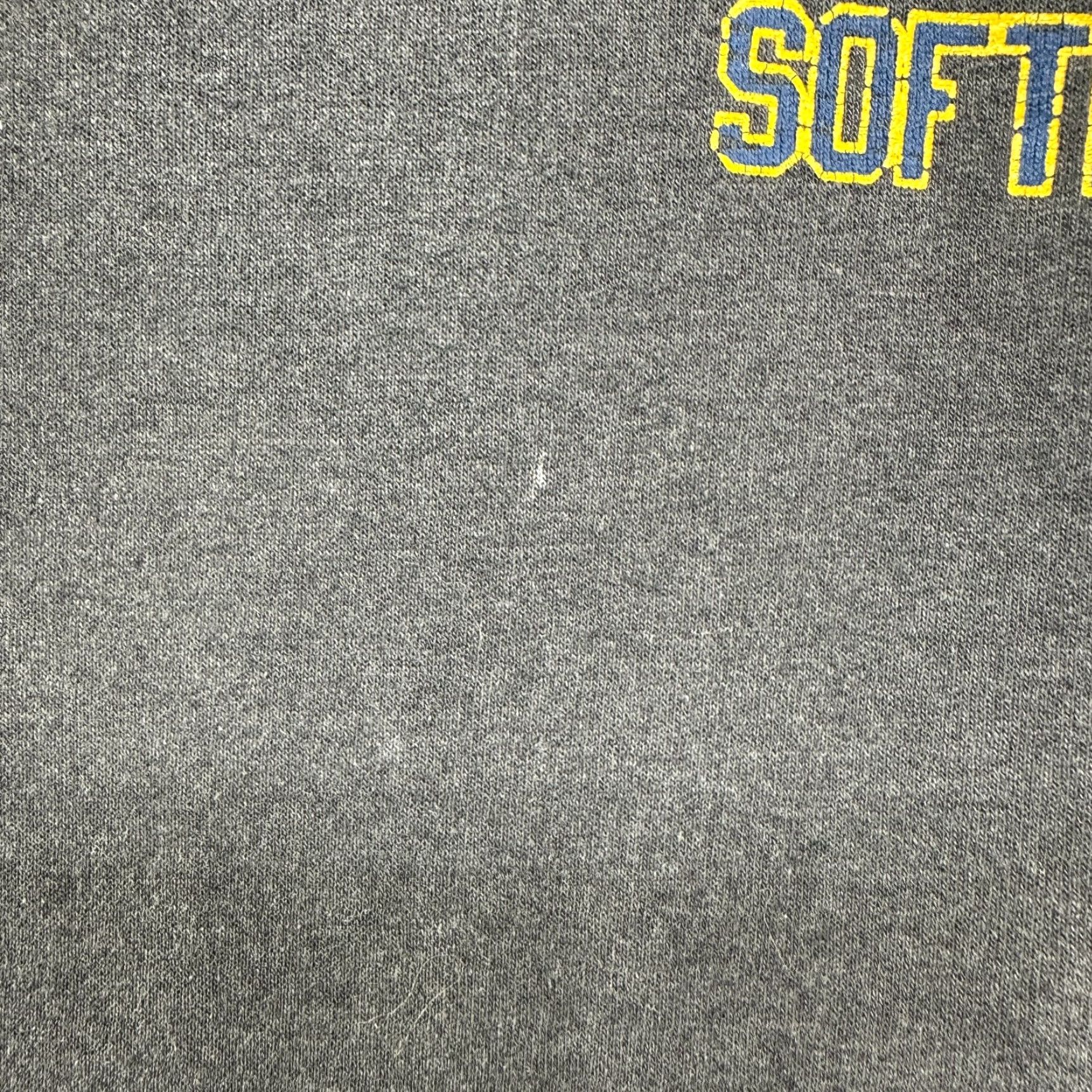 Hanes VINTAGE UC San Diego Softball Hoodie Mens L Grey Pullover Cotton Dark 2002 Y2K Size US L / EU 52-54 / 3 - 4 Thumbnail