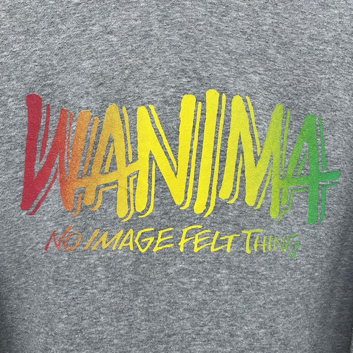 Band Tees Wanima Japan Punk Rock Band Hoodie Size US M / EU 48-50 / 2 - 6 Thumbnail