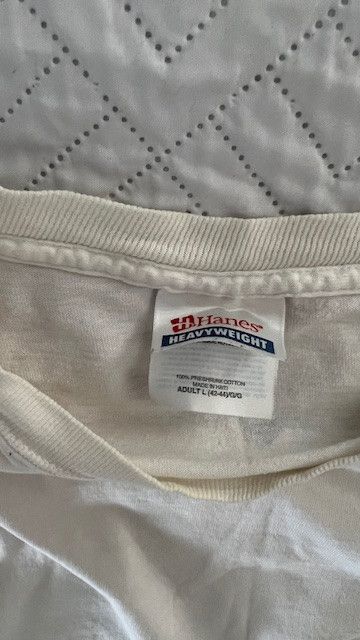 Hanes Destination Tee, 90's, Single Stitch Size US L / EU 52-54 / 3 - 10 Thumbnail