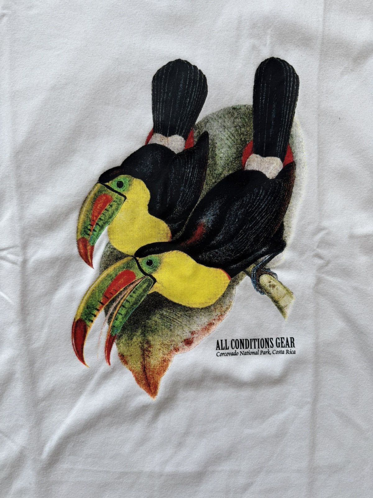 Nike ACG Nike ACG Toucan Shirt Size US S / EU 44-46 / 1 - 2 Thumbnail