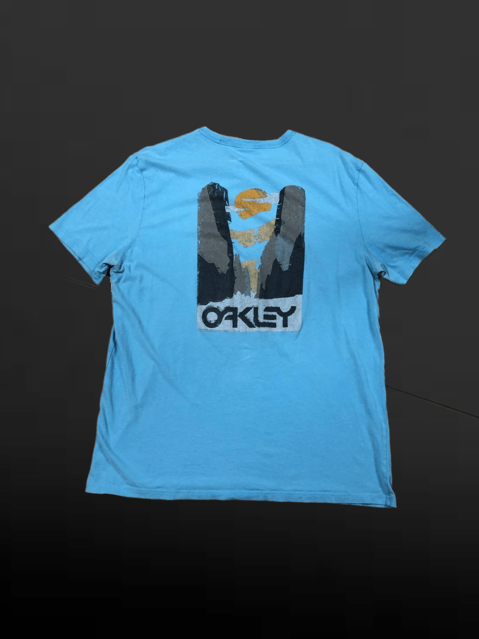 OAKLEY Y2K Streetwear Blue T-Shirt Size XL
