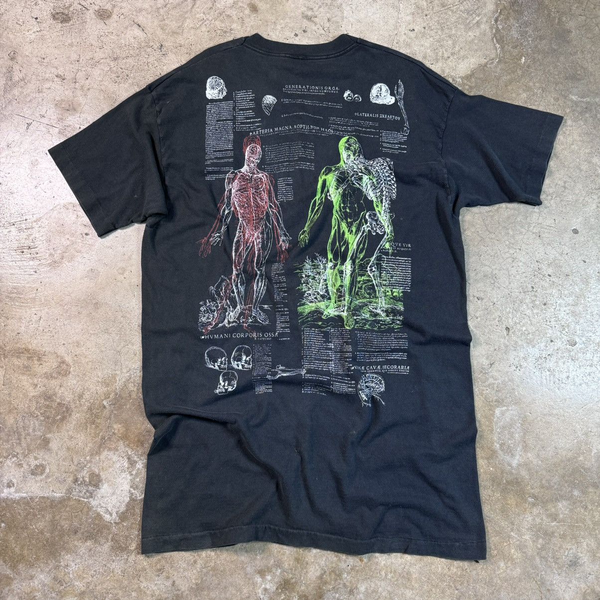 Vintage Anatomy Collection Size US XXL / EU 58 / 5 - 4 Thumbnail