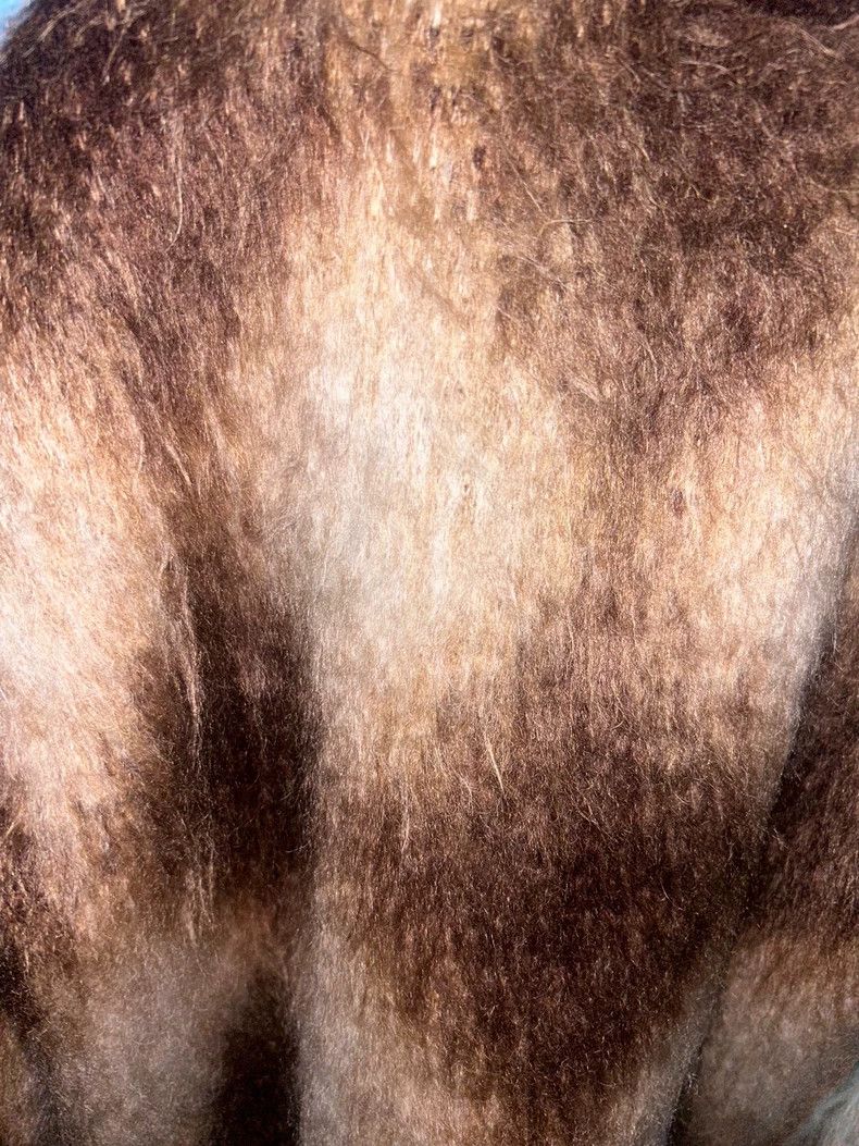 Celine Celine 22FW Brown Brushed Mohair Gradient Sweater 2501-Next Size US XS / EU 42 / 0 - 4 Thumbnail