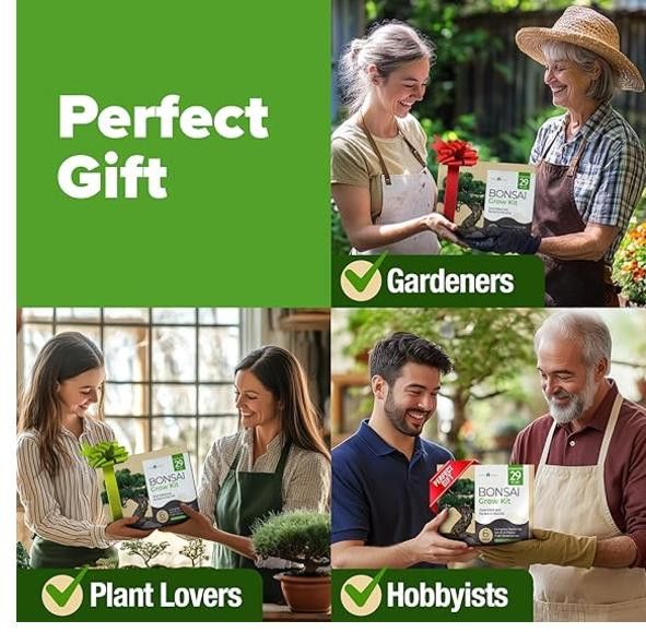 NBDN Nobrandedon Complete Bonsai Starter Kit w/ 6 Seed Varieties - Unique Size ONE SIZE - 6 Thumbnail