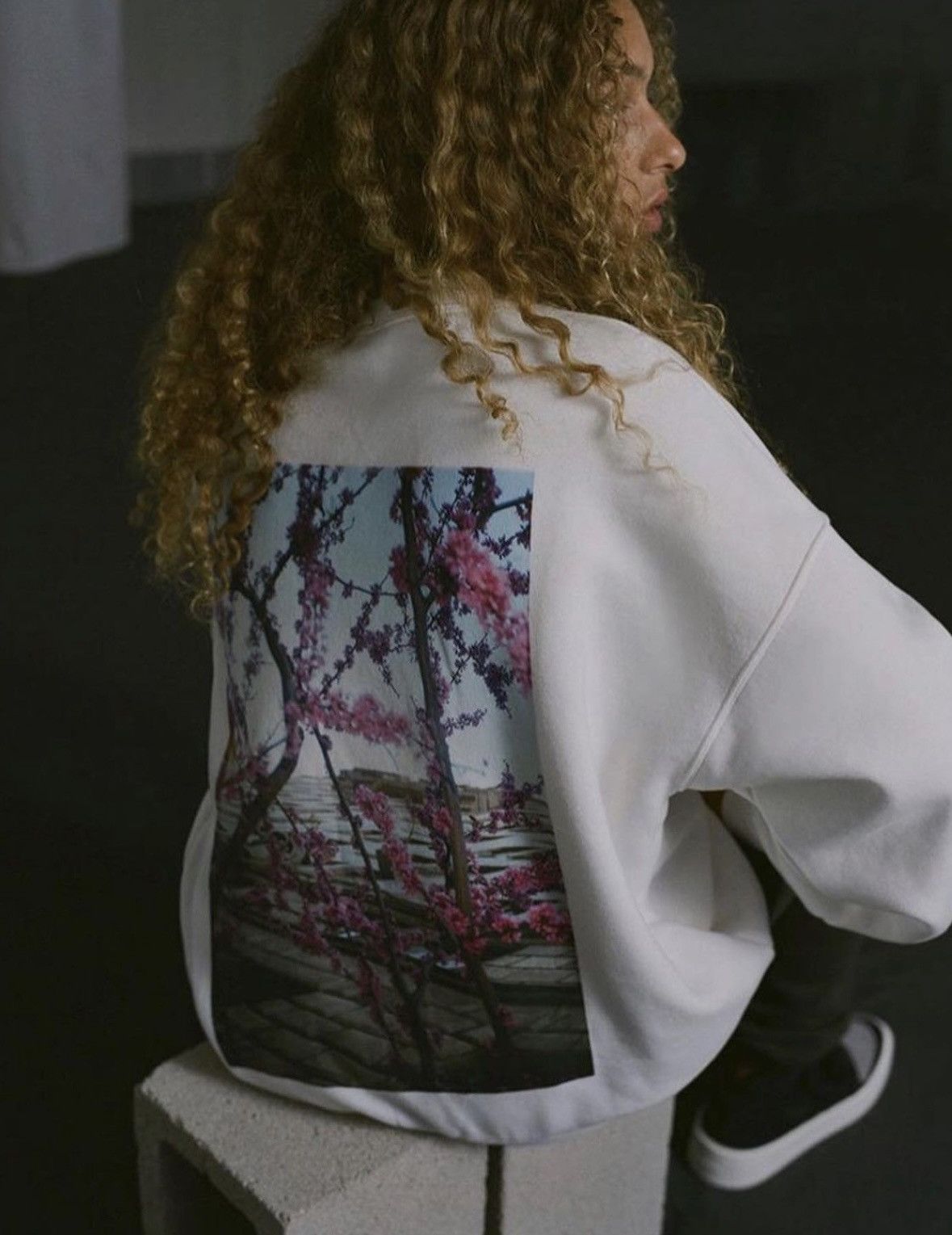 Essentials 2019 Fear of God Essentials Photo Crewneck White Size US XS / EU 42 / 0 - 1 Thumbnail