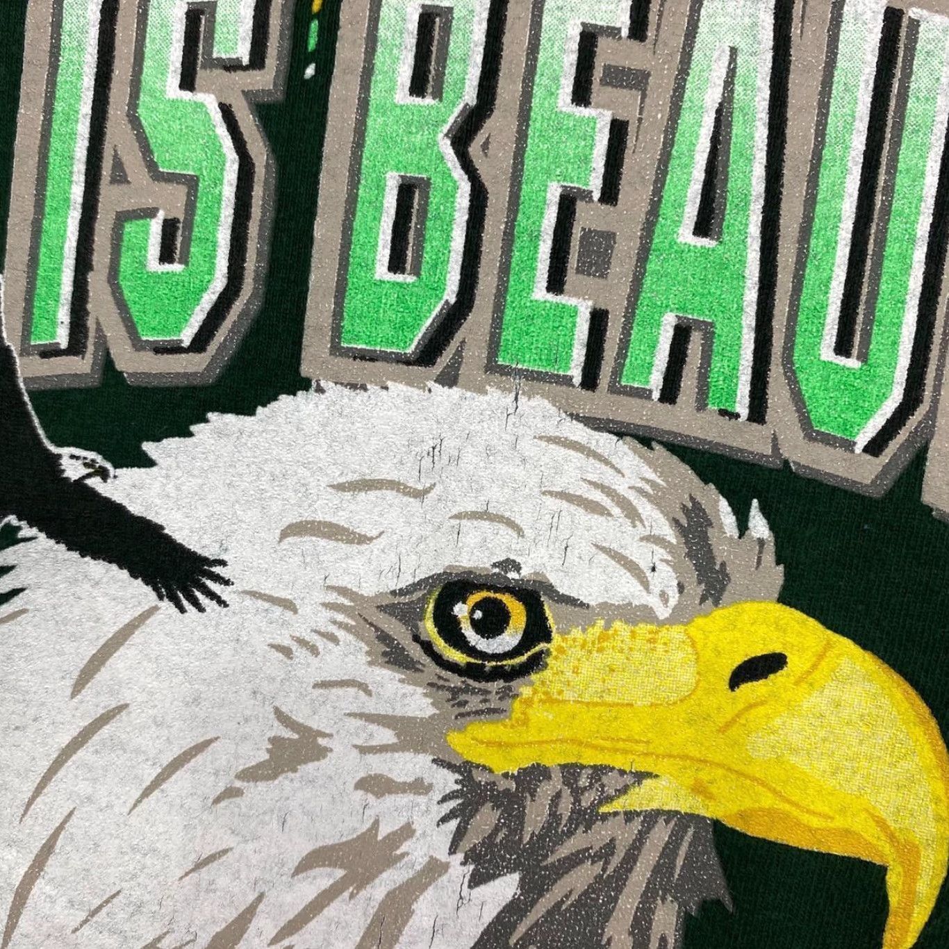 Fruit Of The Loom Vintage Bald Is Beautiful “Sitka Alaska” Bald Eagle Souvenir Green T-Shirt Large Size US L / EU 52-54 / 3 - 5 Thumbnail