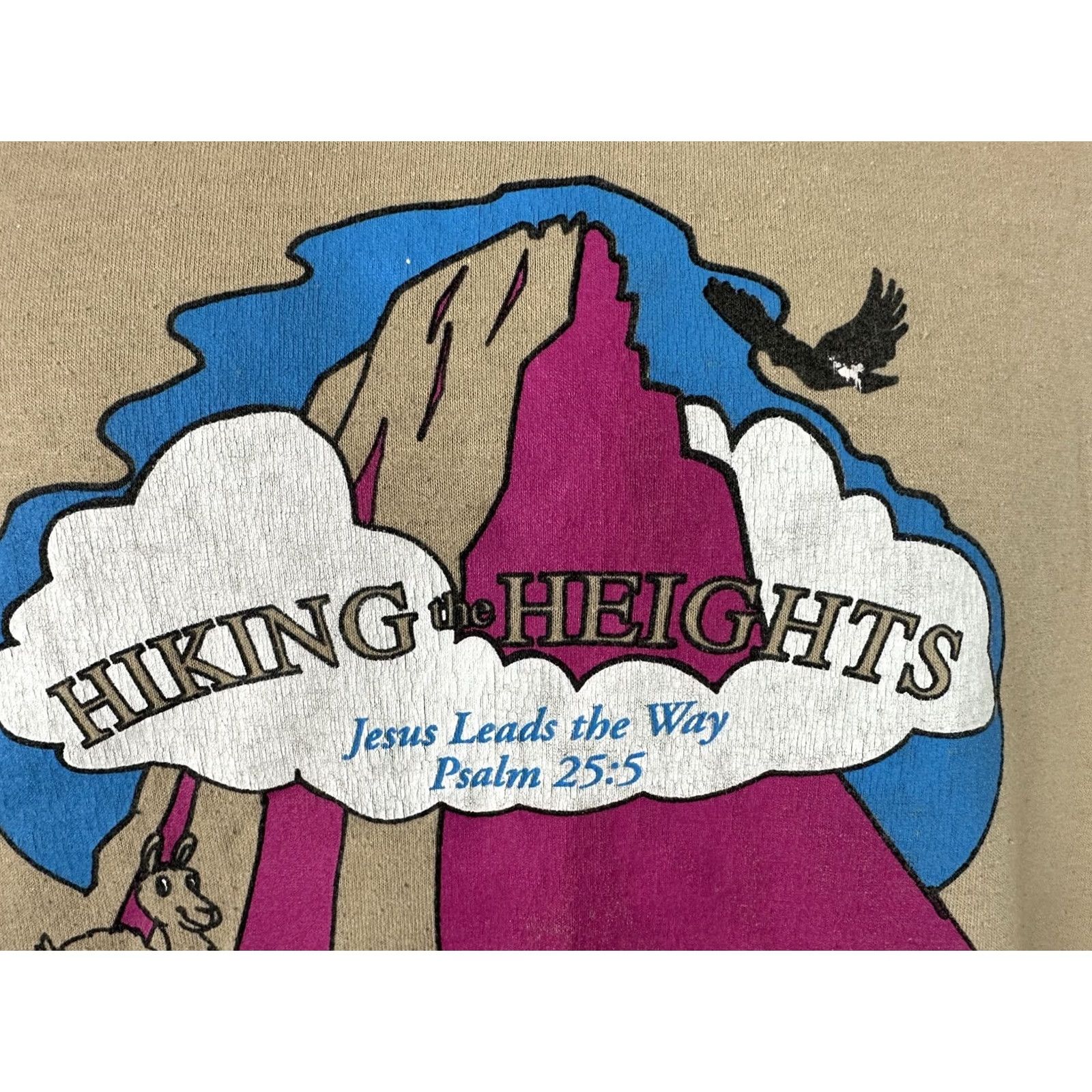Hanes VINTAGE 90s Bible School Shirt Adult Large Jesus Nature Animals Hiking Brown Size US L / EU 52-54 / 3 - 5 Thumbnail