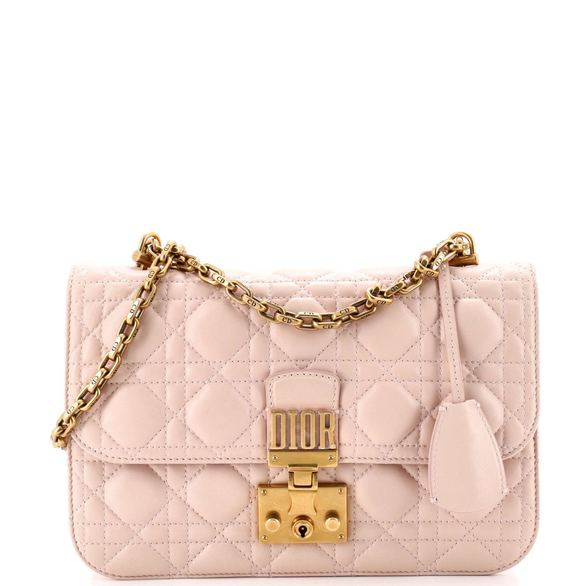 Dior Dioraddict Flap Bag Size ONE SIZE - 1 Thumbnail