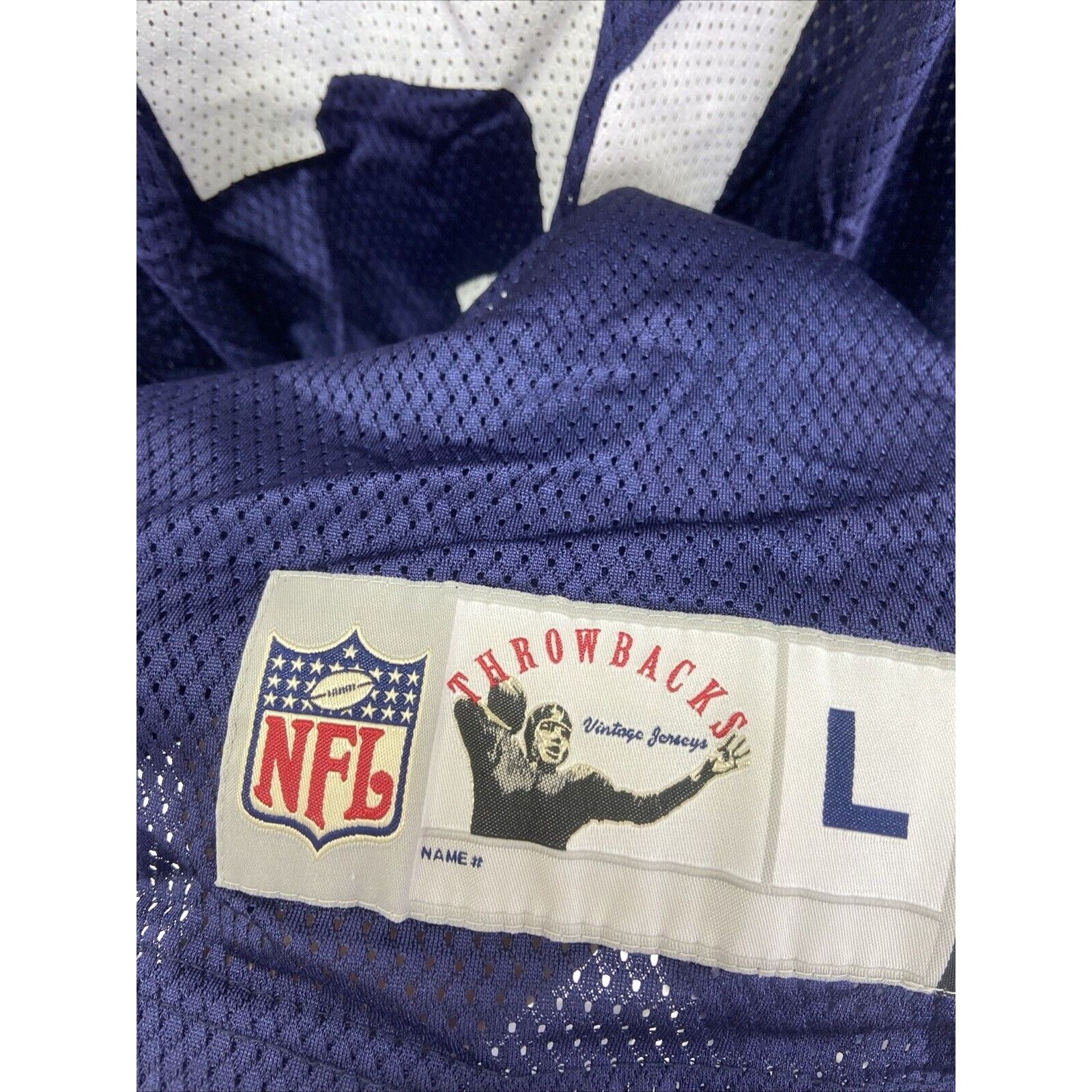 Reebok NFL Reebok Throwback Jersey Dallas Cowboys #31 Roy Williams Size US L / EU 52-54 / 3 - 4 Thumbnail