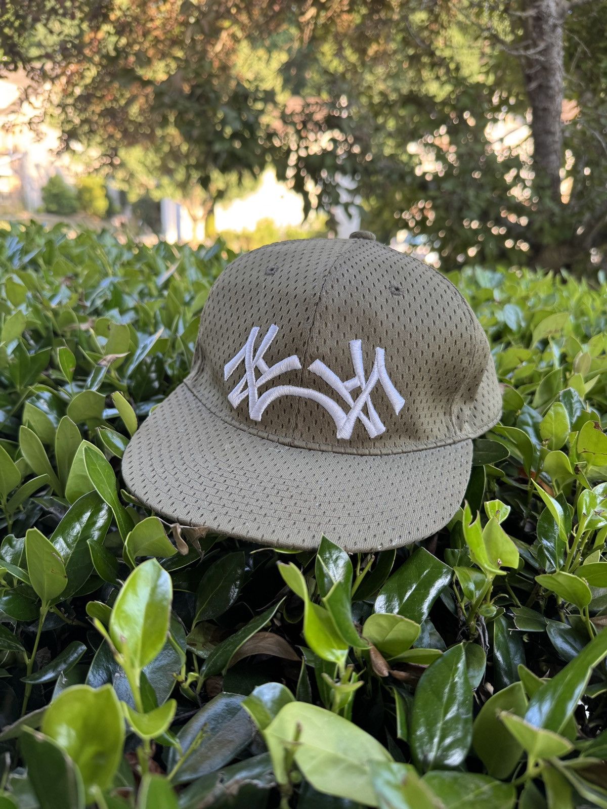 Supreme SS08 Supreme Ralph Bakshi Coonskin | Grailed