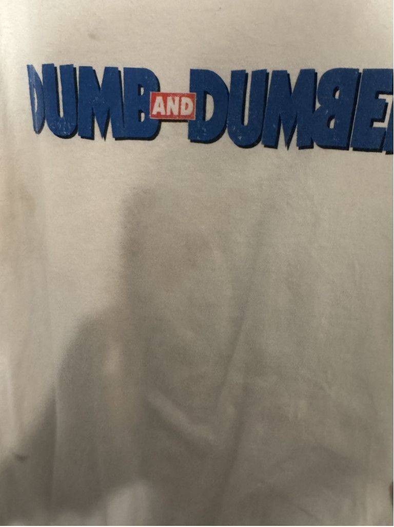 Hollister Dumb and Dumber Double-Sided Hollister T-Shirt Men L White Size US L / EU 52-54 / 3 - 4 Thumbnail