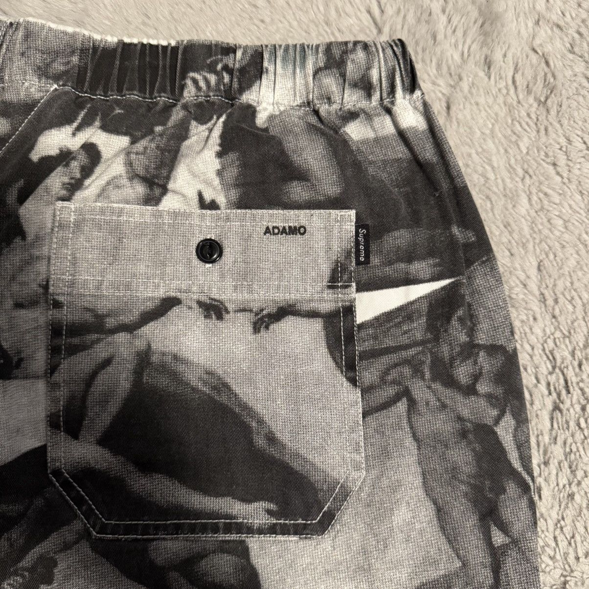 Supreme FW17 Supreme Michelangelo Pant Size US 34 / EU 50 - 3 Thumbnail