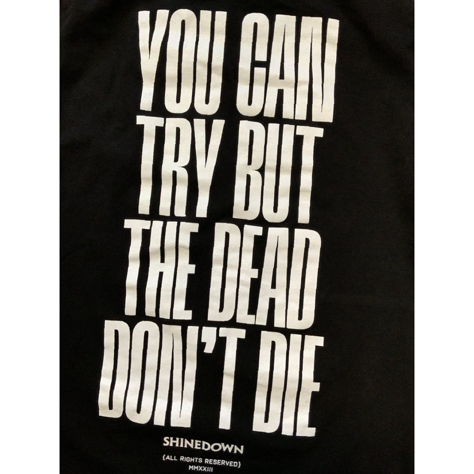 American Apparel Shinedown Planet Zero You Can Try But The Dead Don’t Die Rock Band T-Shirt M Black Mens Size US M / EU 48-50 / 2 - 6 Thumbnail