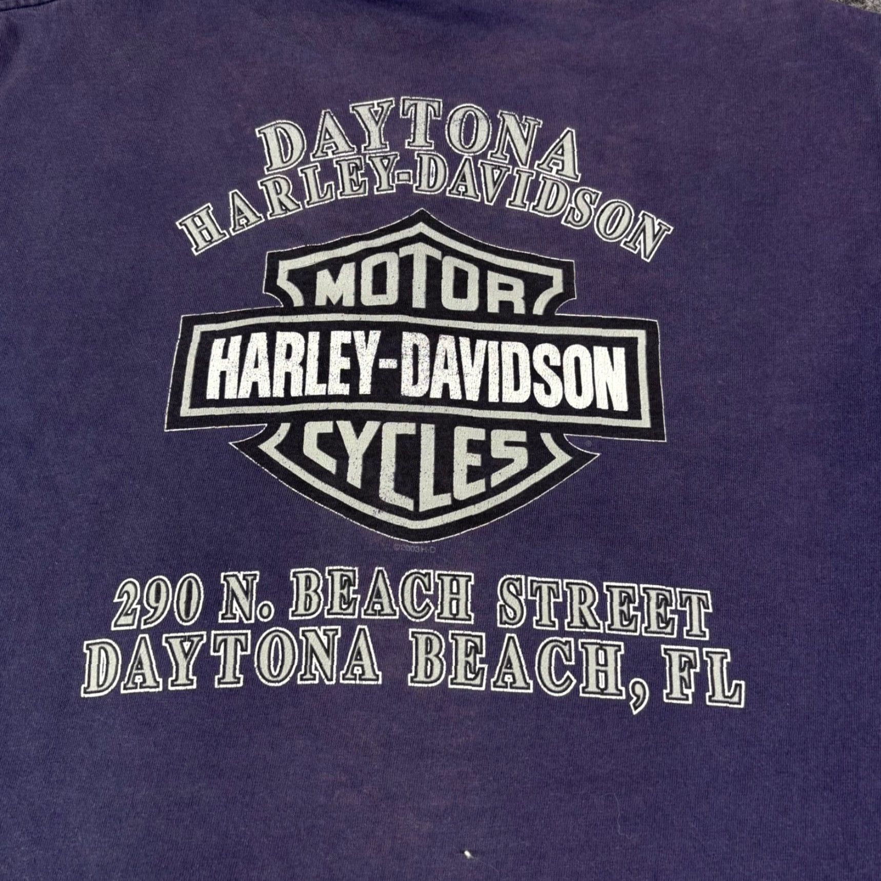 Harley Davidson VINTAGE Harley Davidson Wolf Graphic T Shirt Daytona Beach Mens Large 90s Size US L / EU 52-54 / 3 - 8 Thumbnail