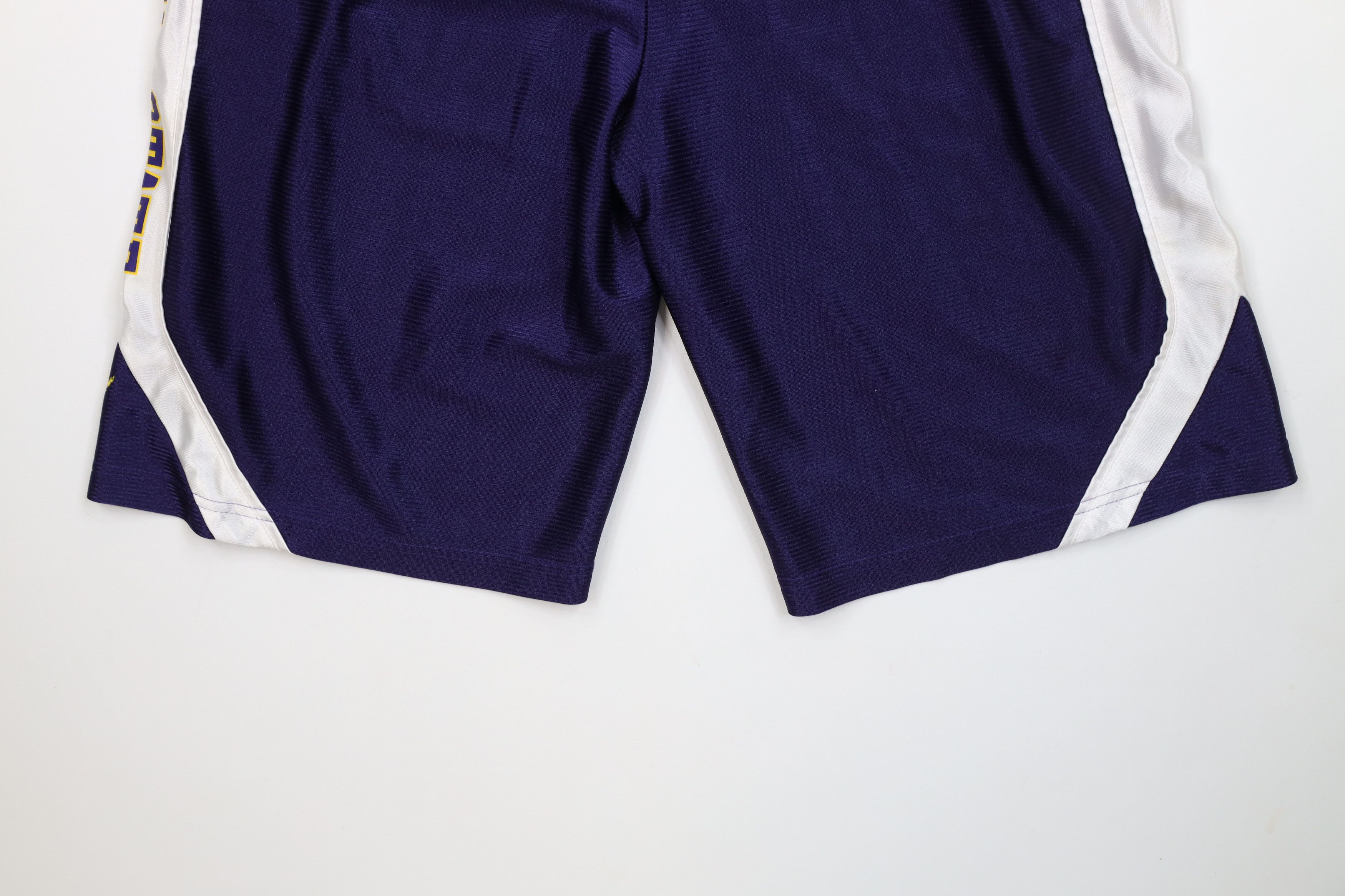 Champion Vintage Champion State University Gym Basketball Shorts Size US 30 / EU 46 - 14 Thumbnail