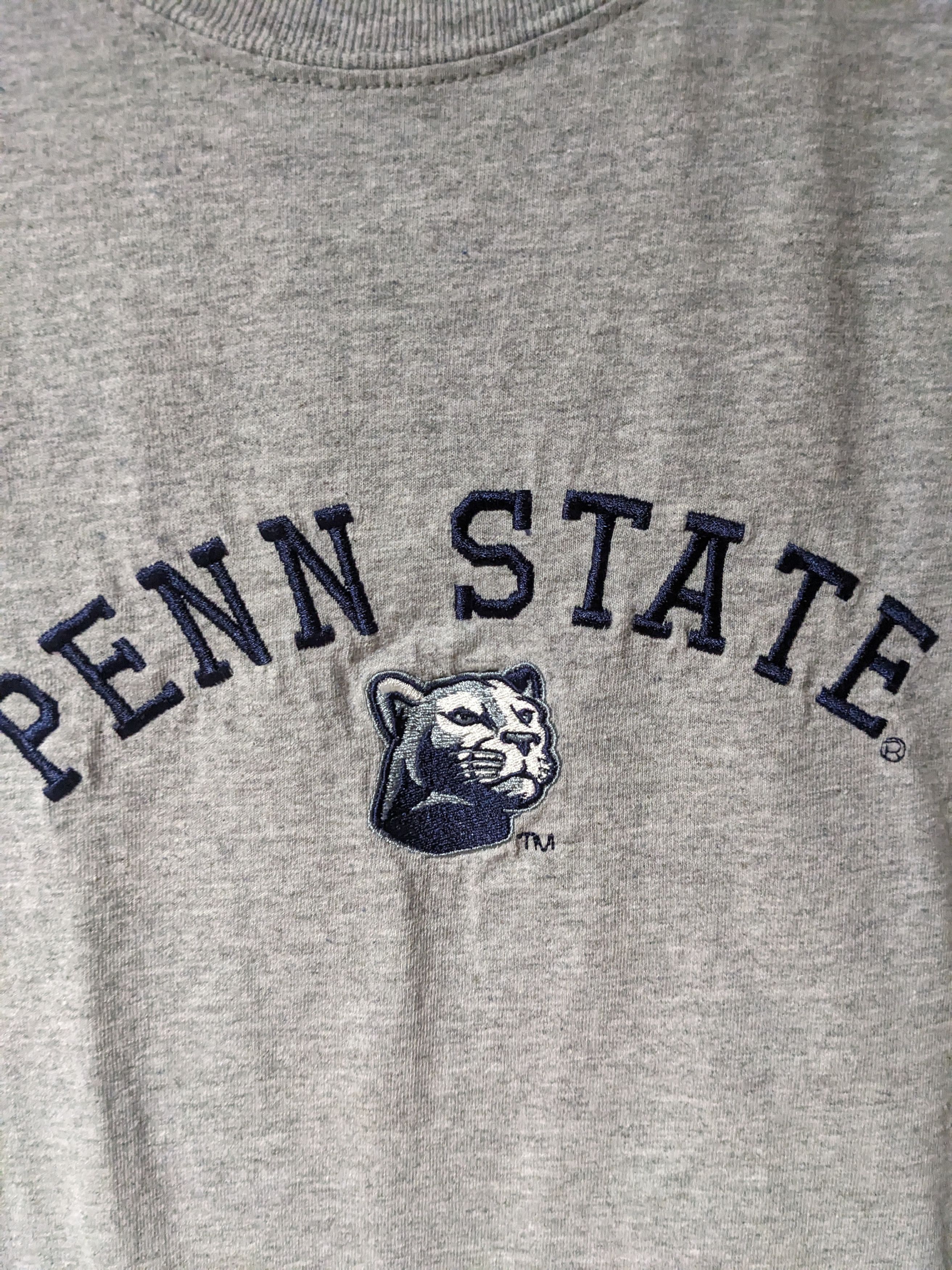 Vintage Vintage Y2K Penn State Nittany Lion Spell Out T-Shirt Size US L / EU 52-54 / 3 - 2 Thumbnail