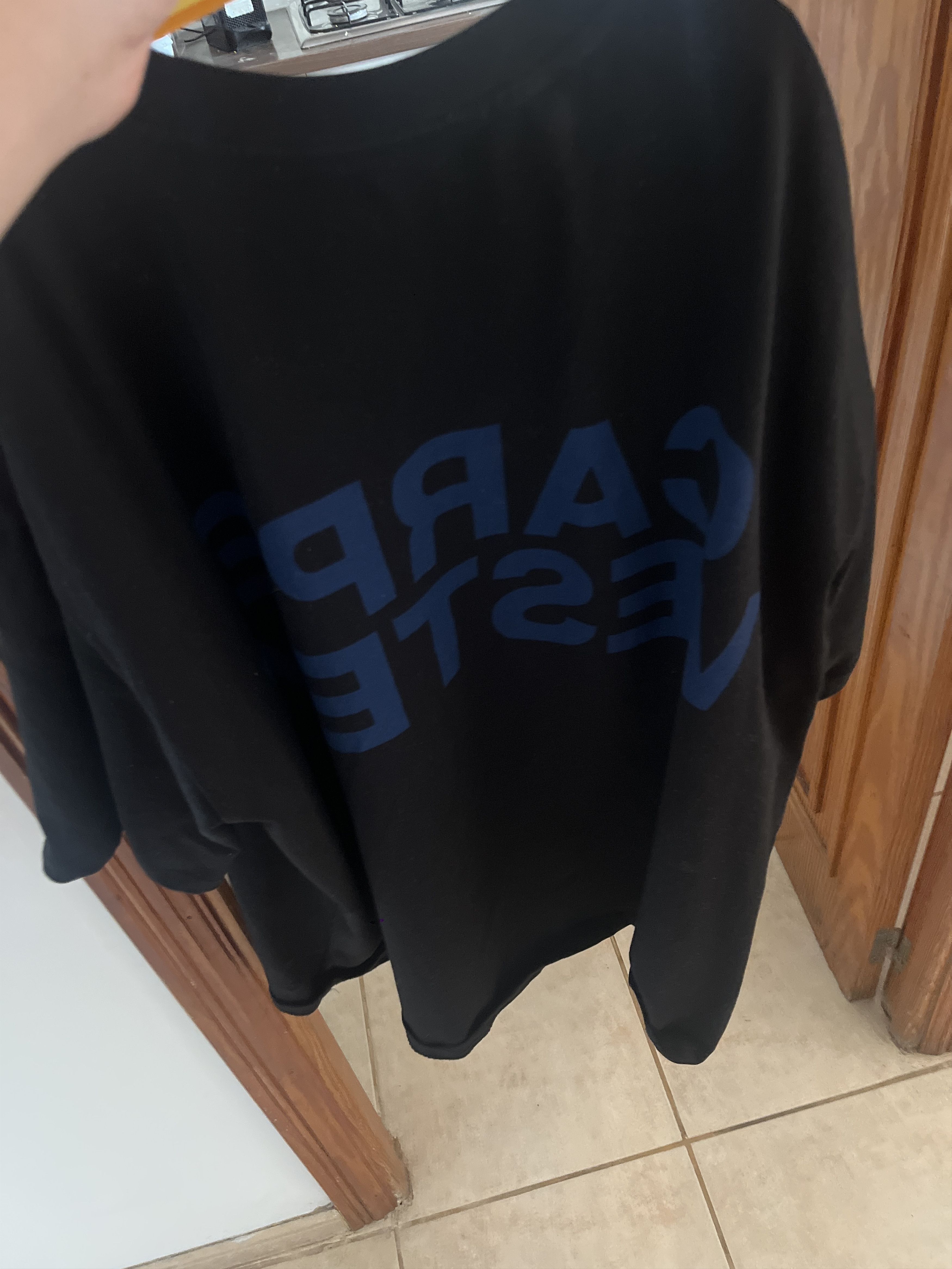 Other Carpe VÉSTEM T-shirt, size L. Worn once and never again. Size US L / EU 52-54 / 3 - 4 Thumbnail