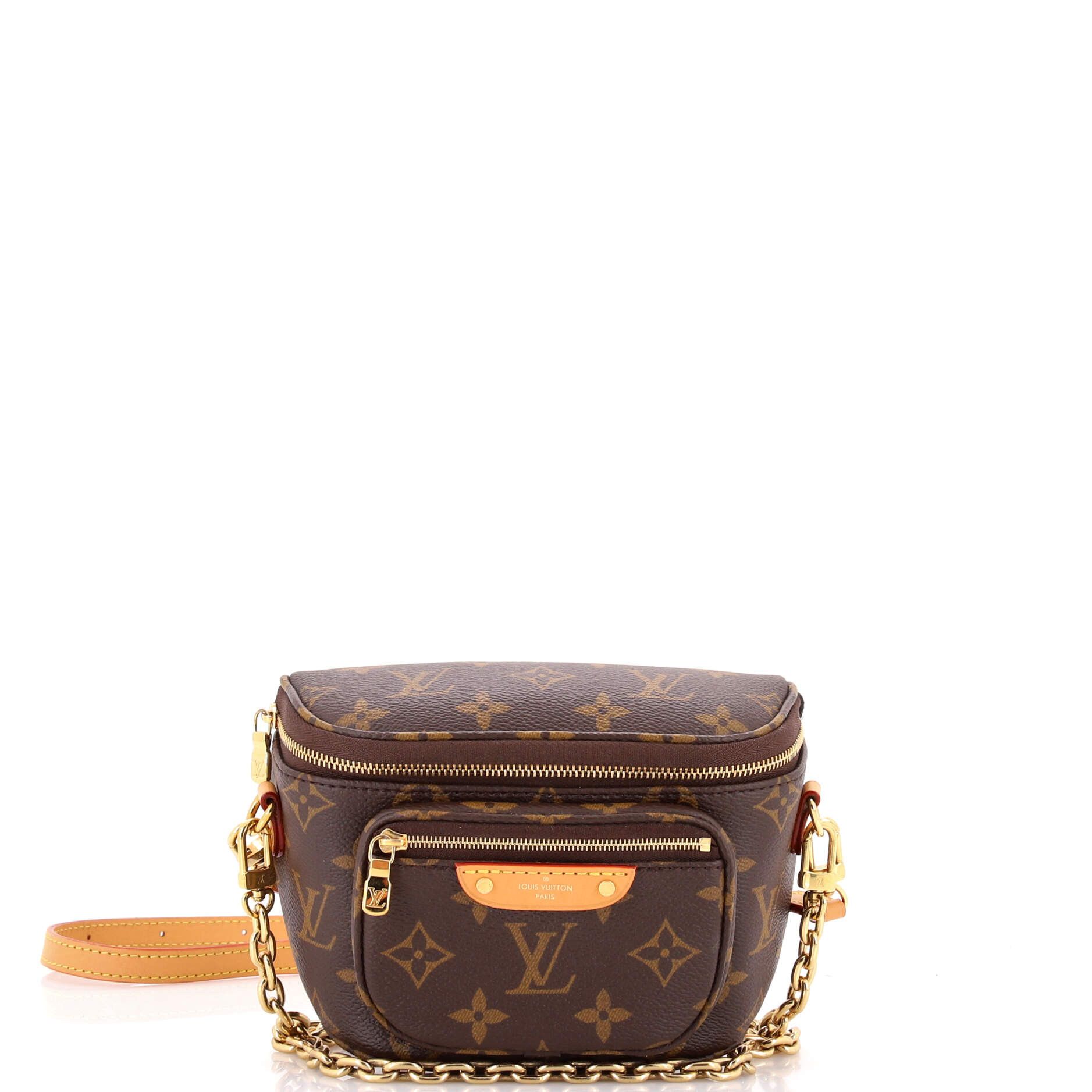 Louis Vuitton Bum Bag Size ONE SIZE - 1 Thumbnail