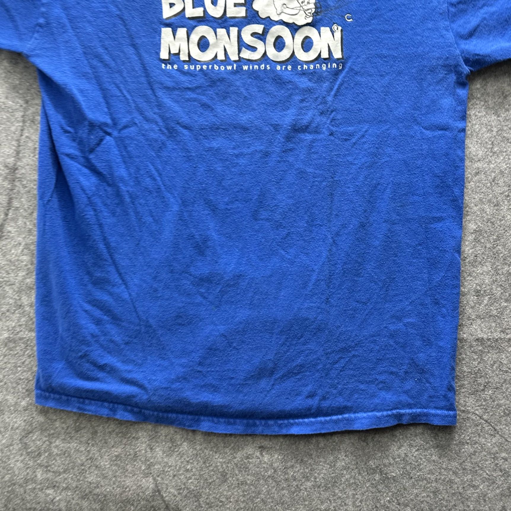 Fruit Of The Loom Fruit of the Loom Shirt Mens Medium Blue Football Graphic Tee Monsoon Blue Monsoon Football Owl Graphic Crew Neck Short Sleeve Heavyweight Cotton Size US M / EU 48-50 / 2 - 5 Thumbnail