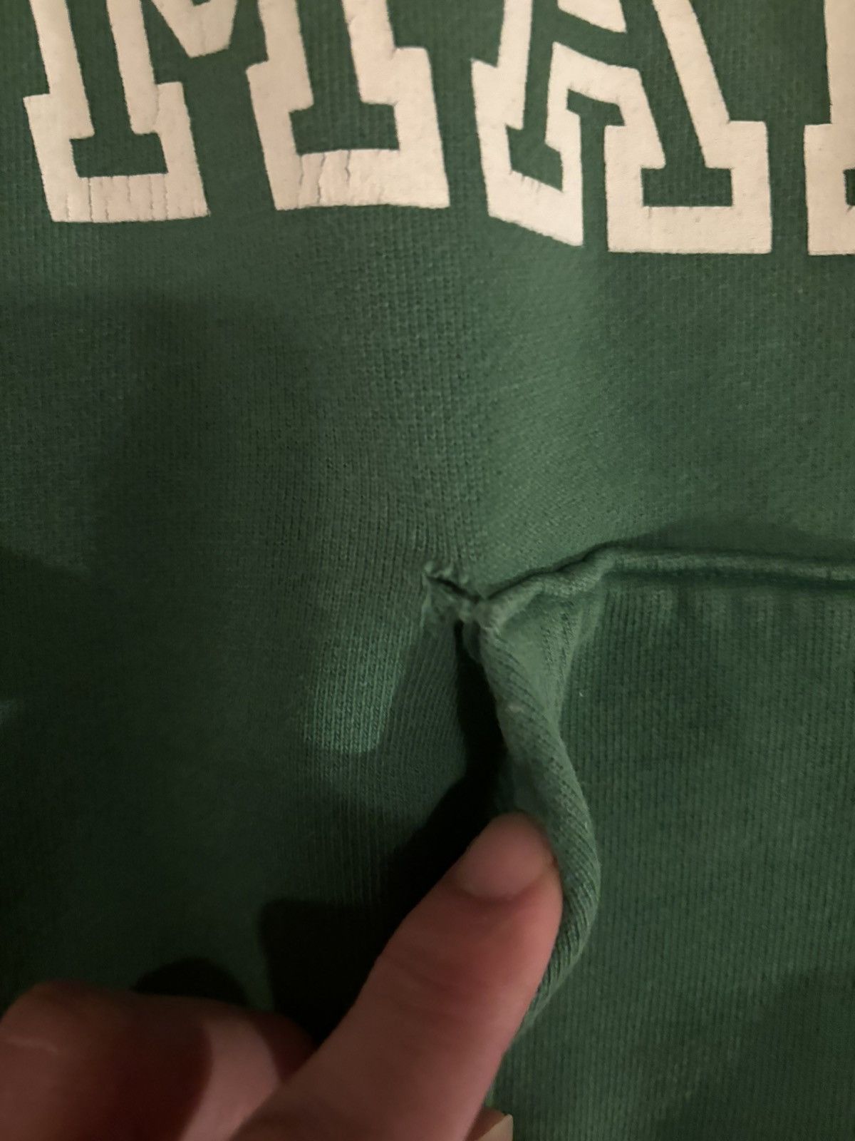 Strawberry Mansion Hoodie