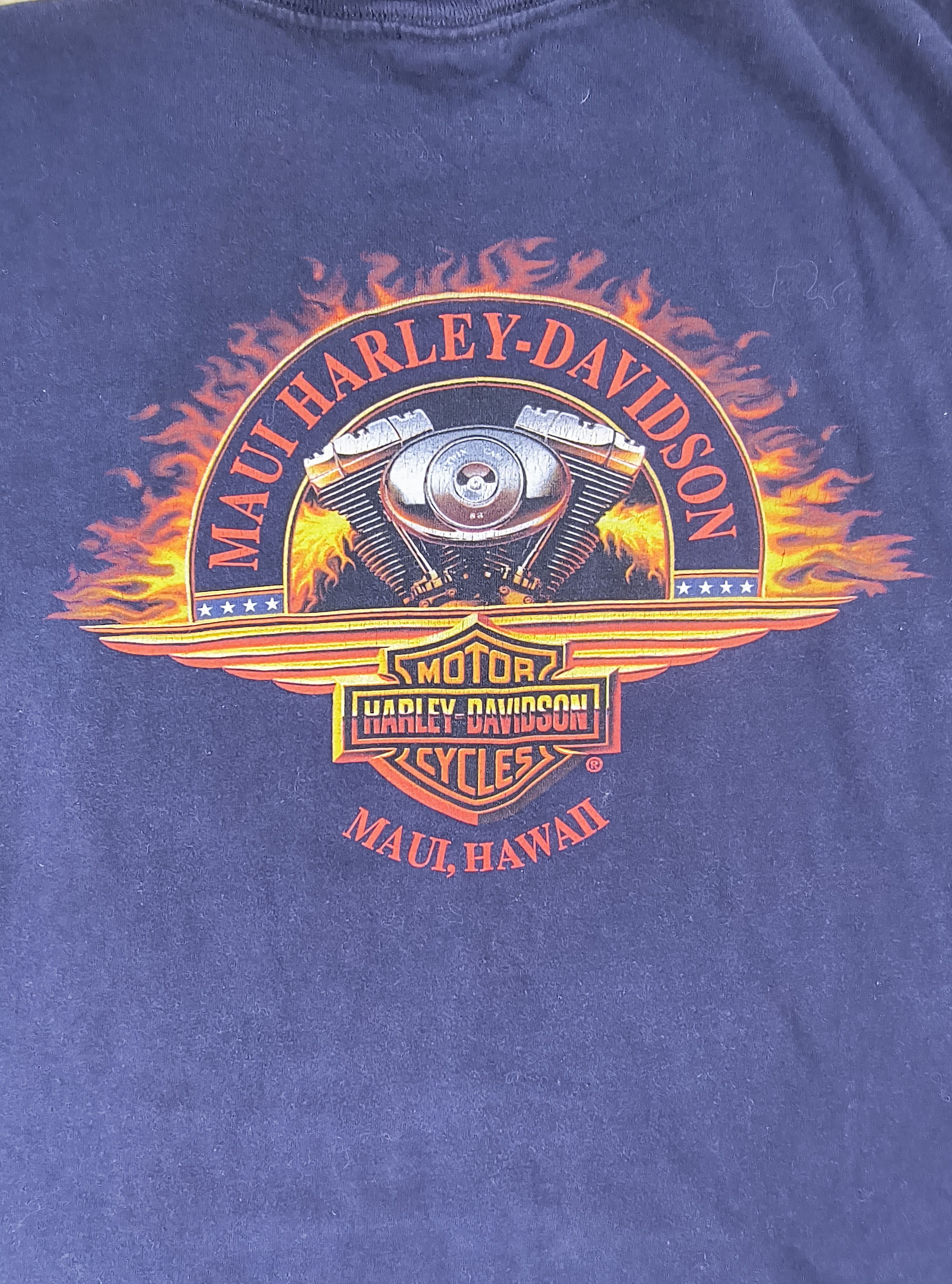 Harley Davidson Vintage Y2K Harley Davidson dragon Maui Hawaii 2001 tee Size US XXL / EU 58 / 5 - 1 Thumbnail