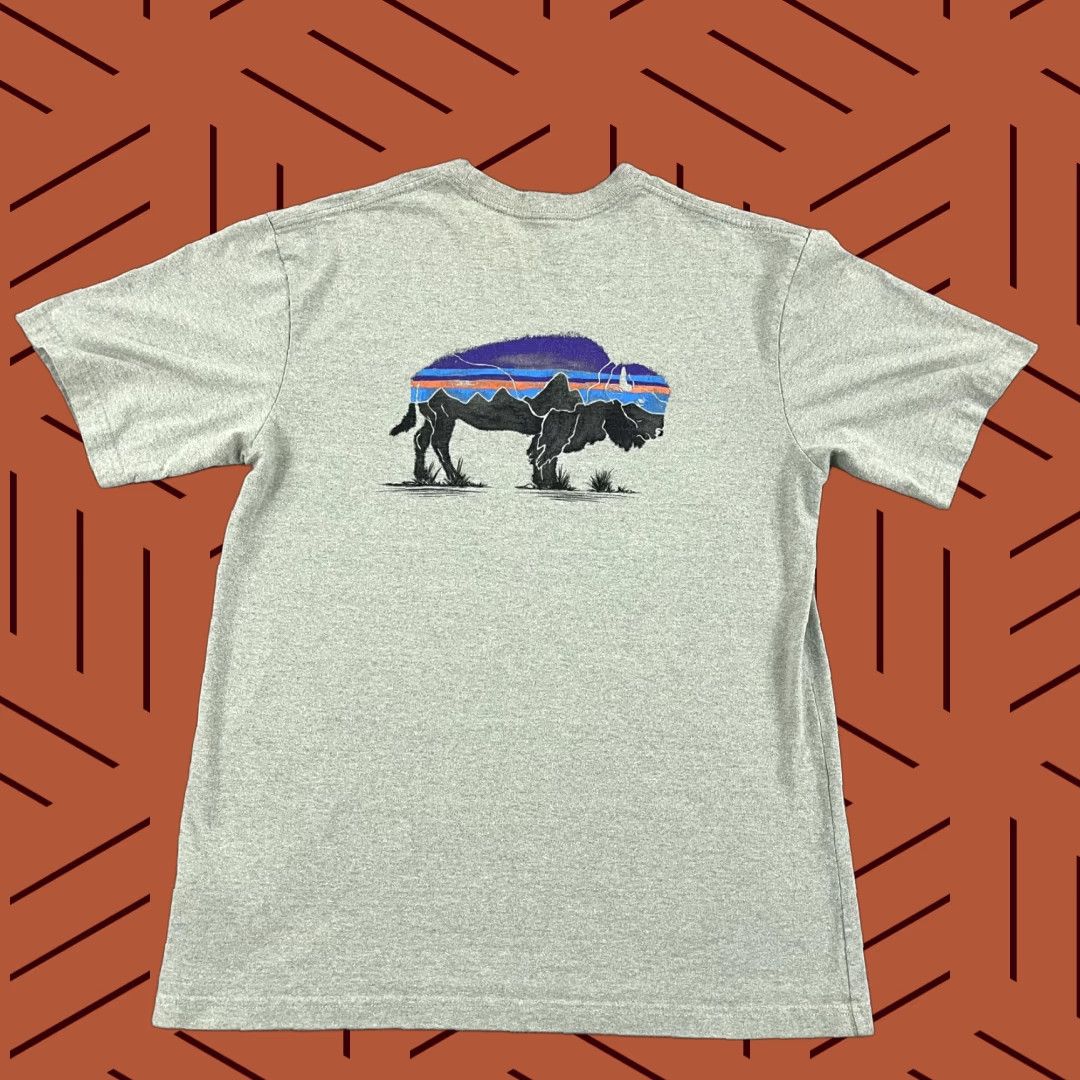 Patagonia PATAGONIA Shirt Mens Small Green Graphic Bison Responsibili-Tee Hiking Outdoors Size US S / EU 44-46 / 1 - 1 Thumbnail